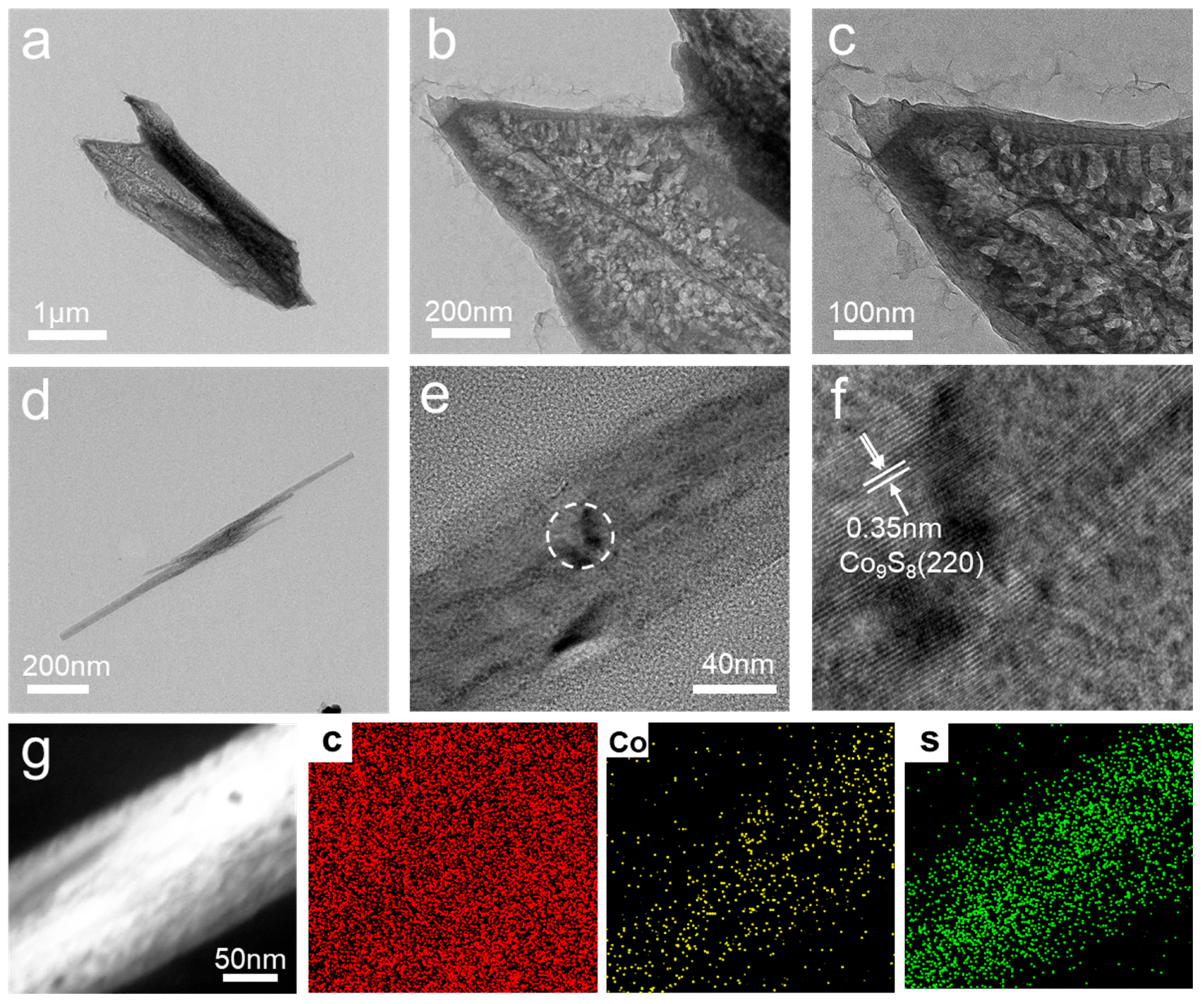 Polymers 16 01924 g002
