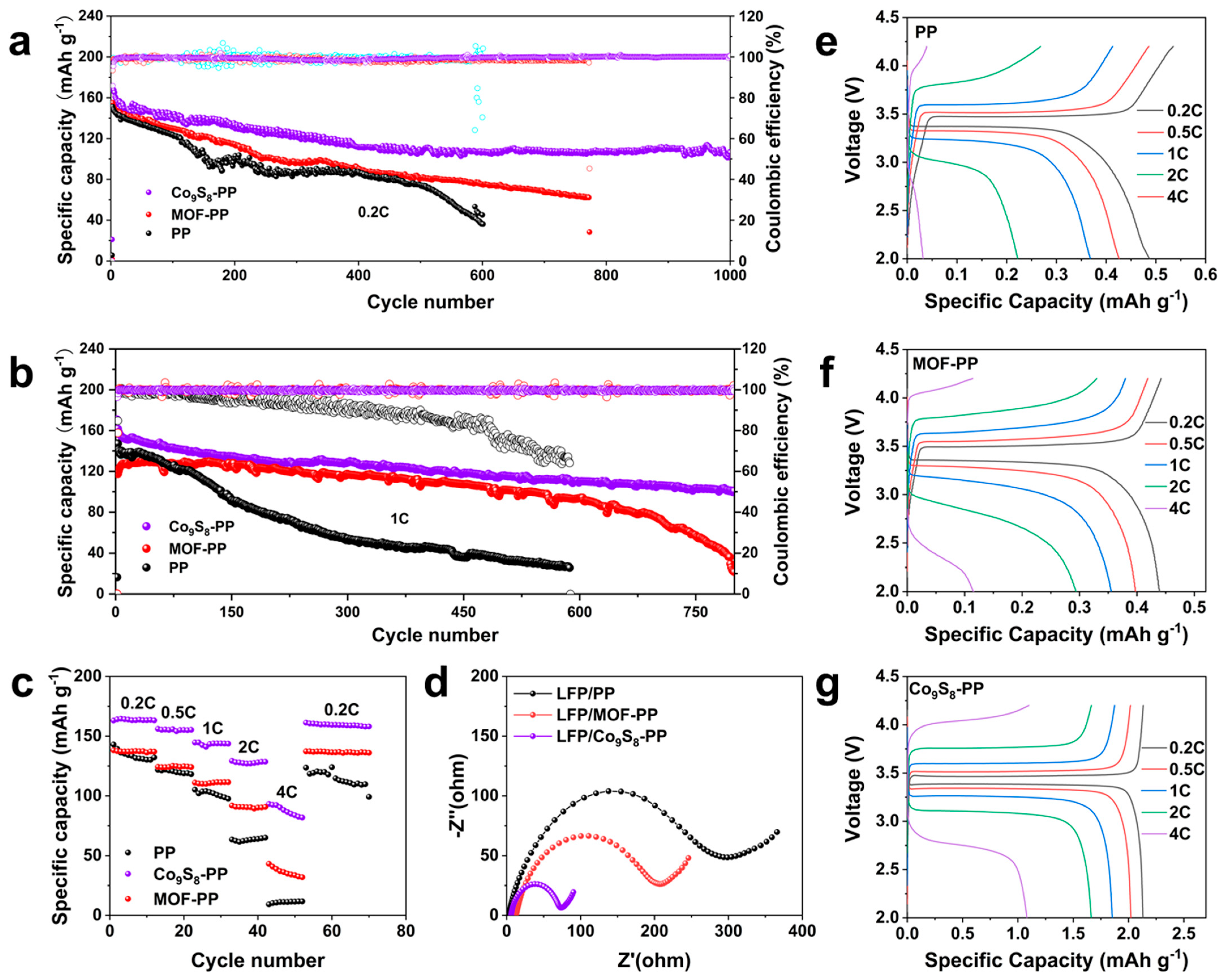Polymers 16 01924 g005