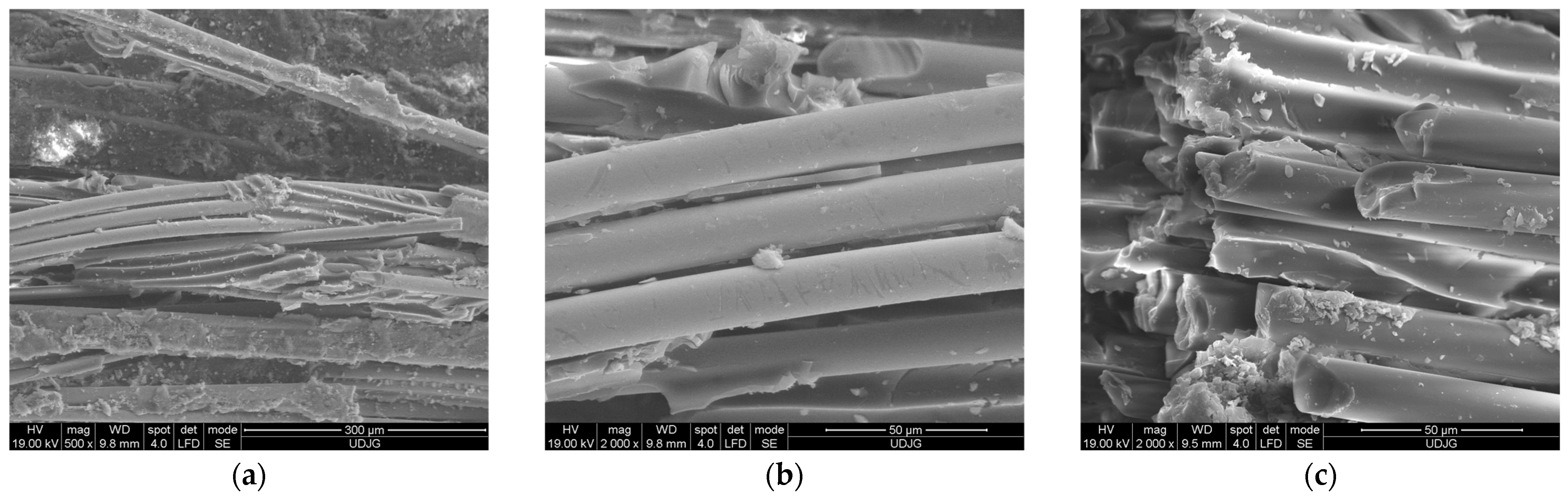 Polymers 16 01925 g016