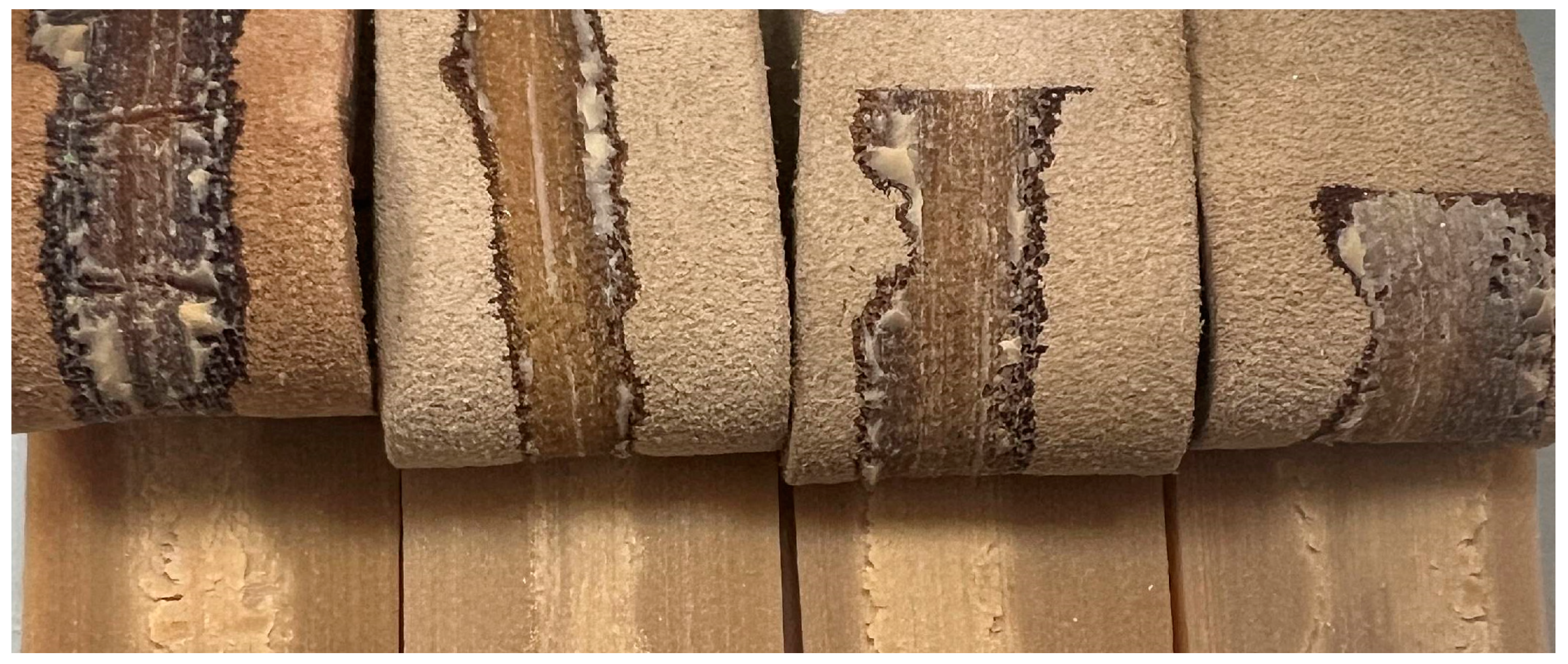 Polymers 16 01928 g012