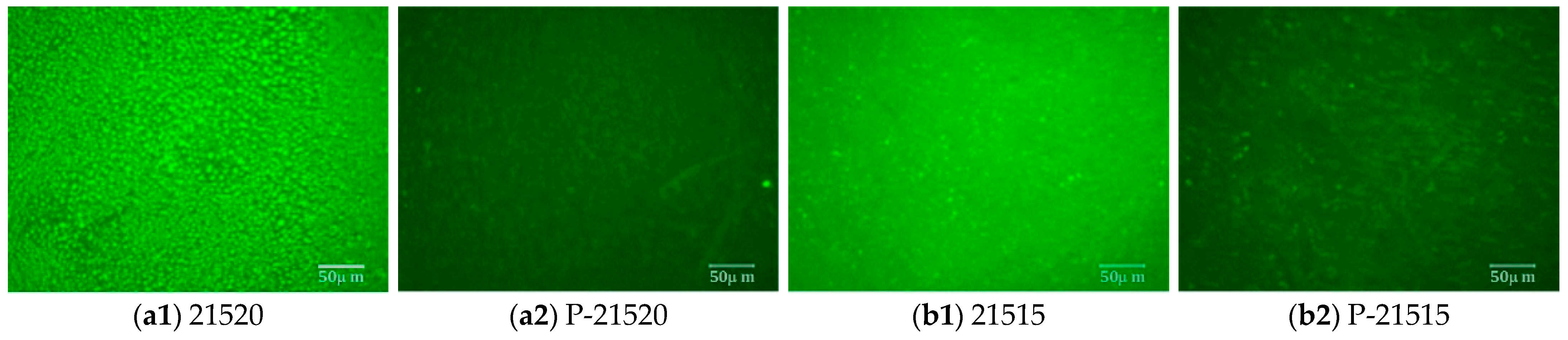 Polymers 16 01929 g012a