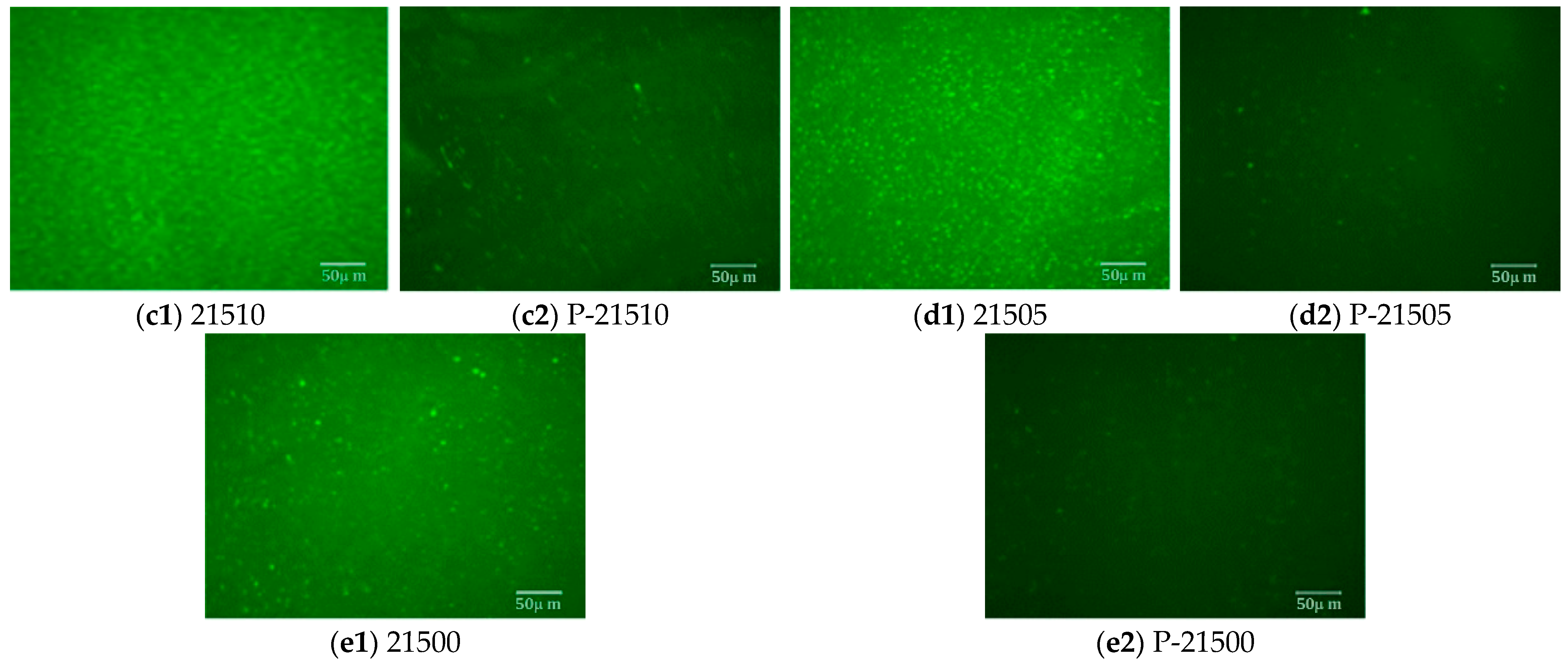 Polymers 16 01929 g012b