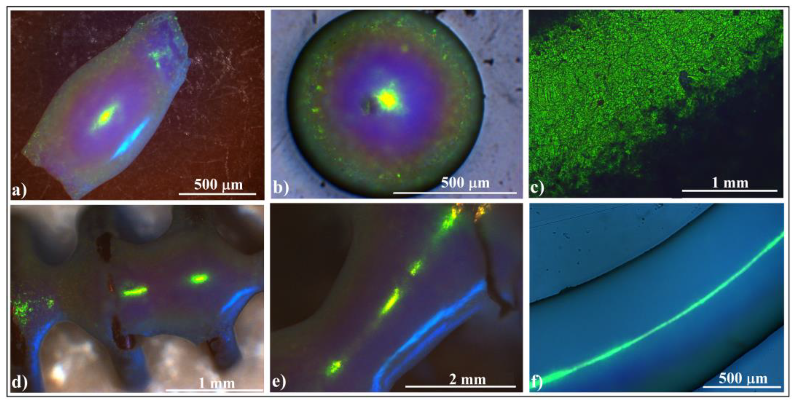 Polymers 16 01931 g005