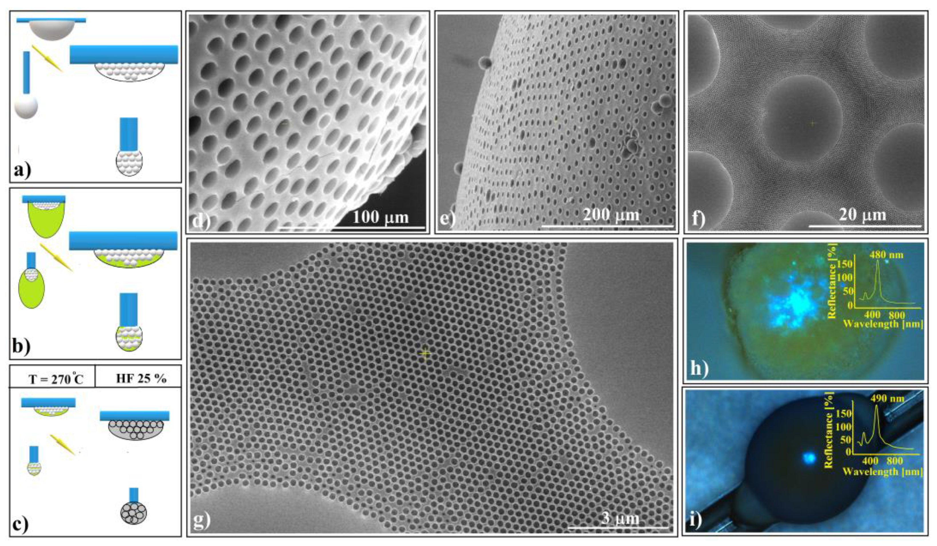 Polymers 16 01931 g008