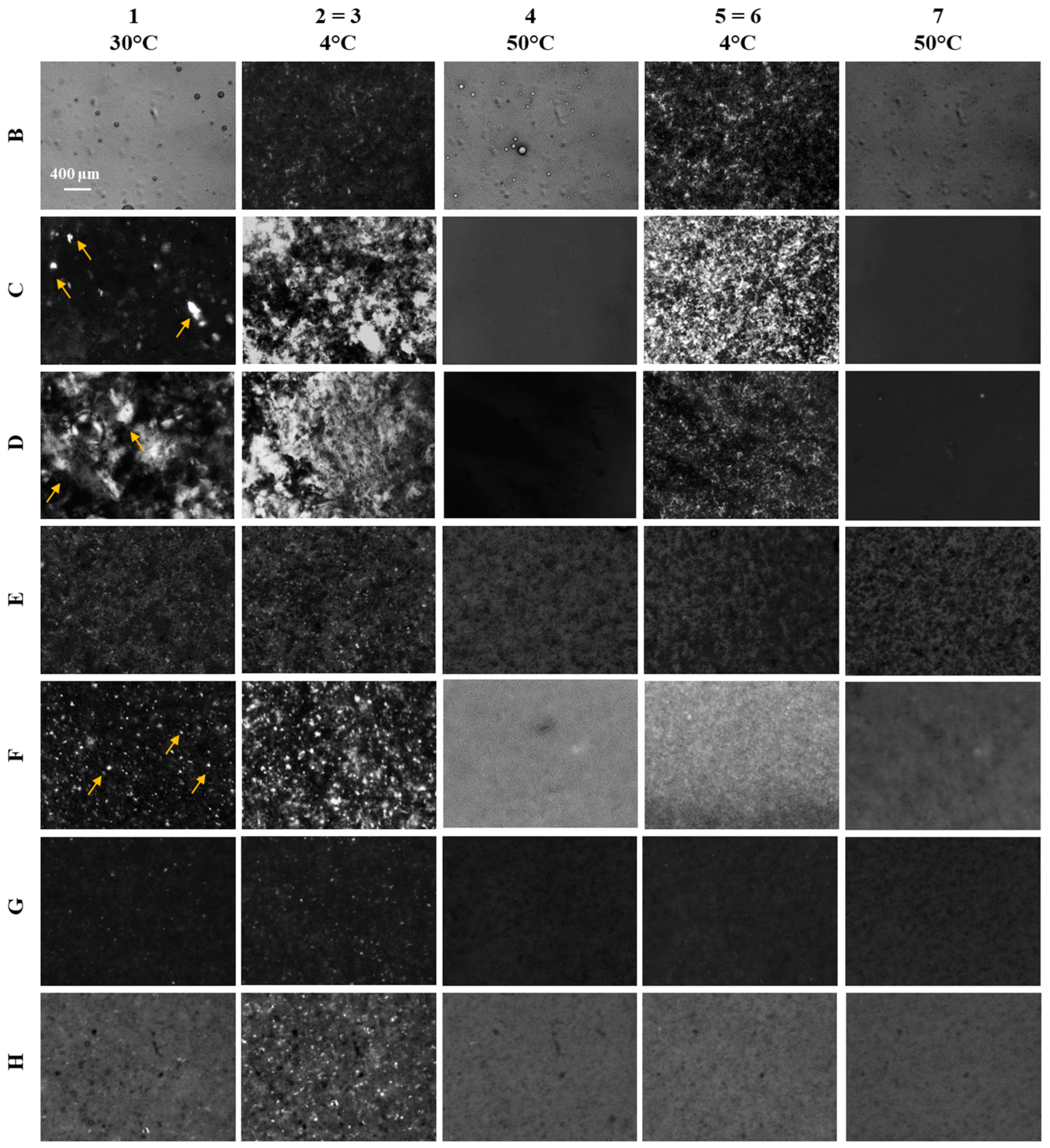Polymers 16 01933 g004