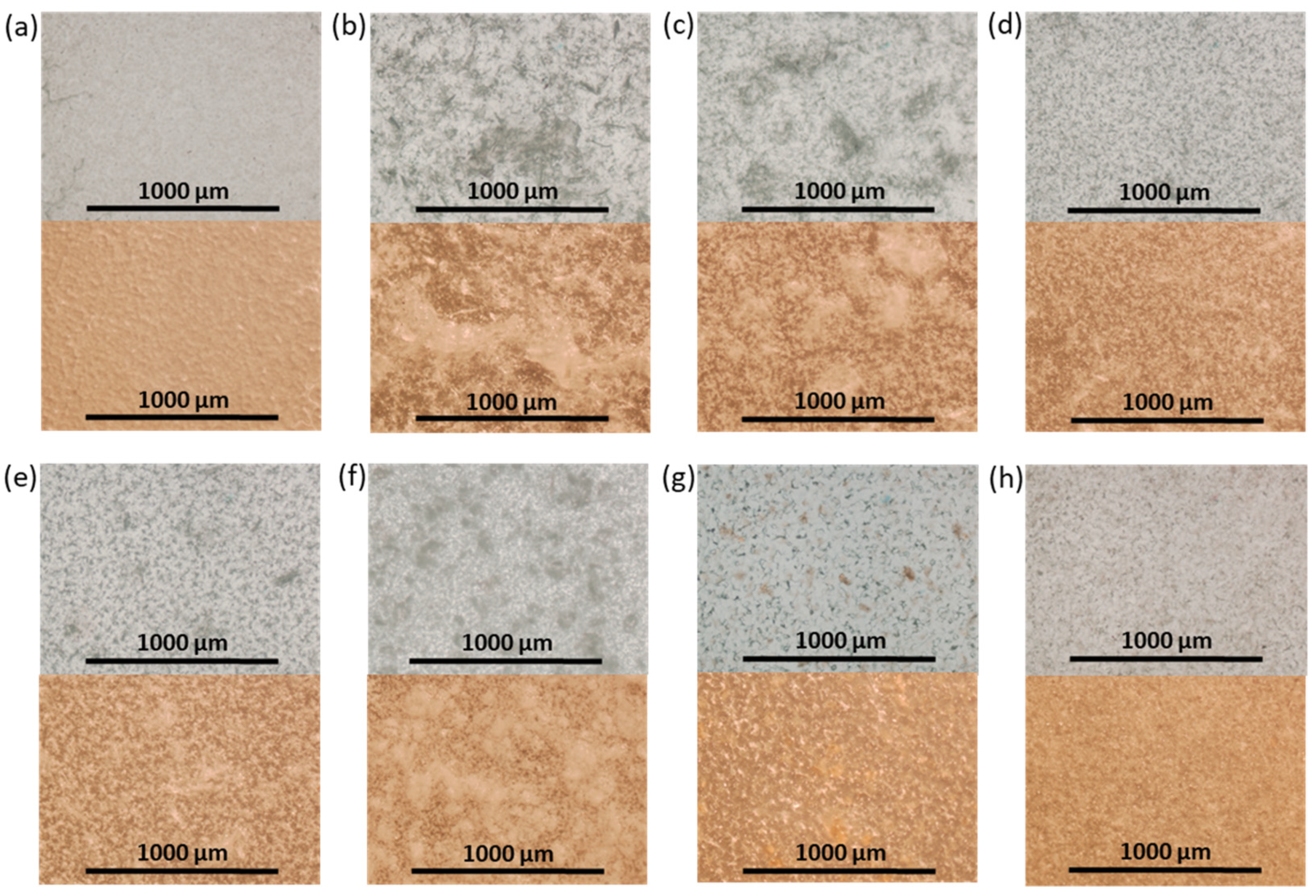 Polymers 16 01936 g007