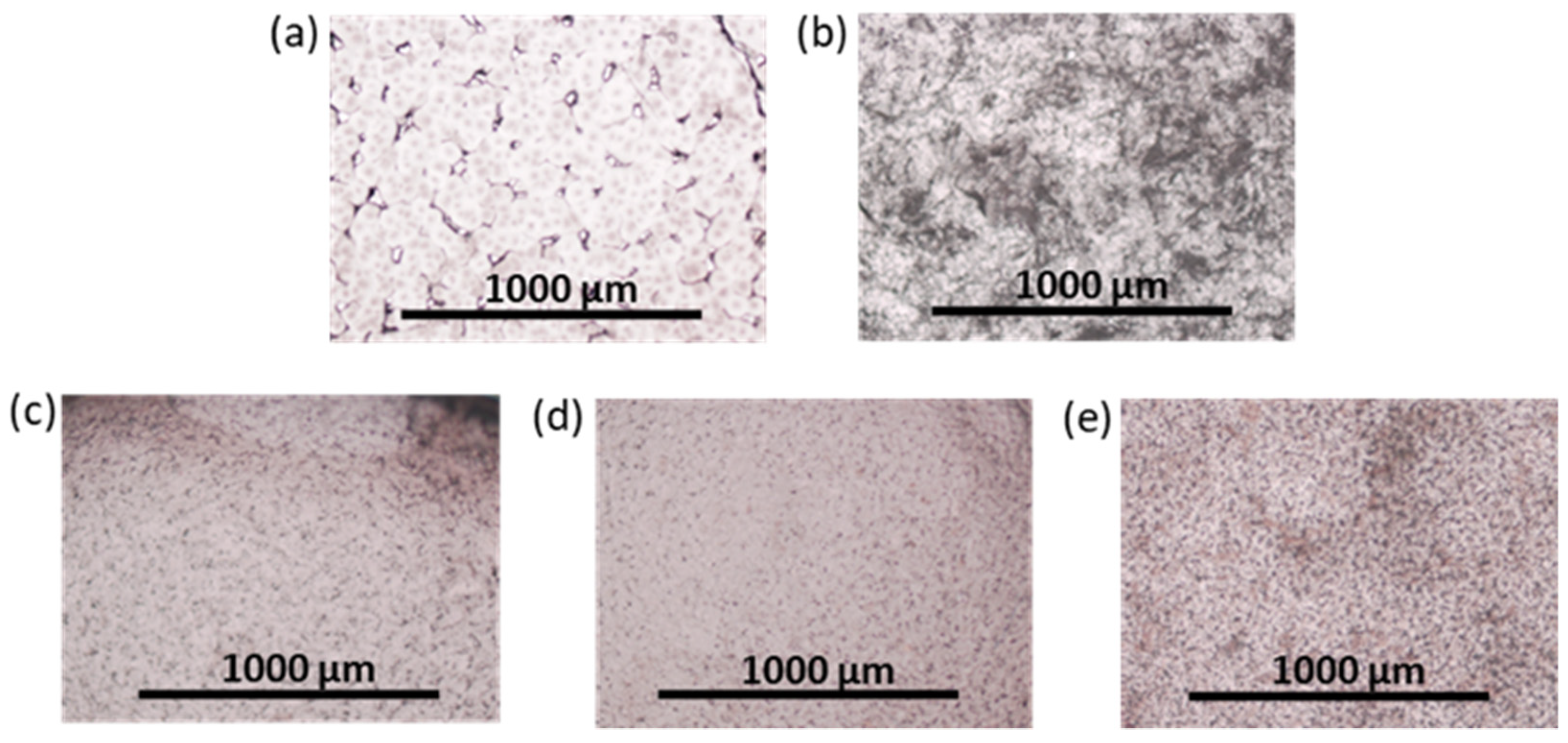 Polymers 16 01936 g011