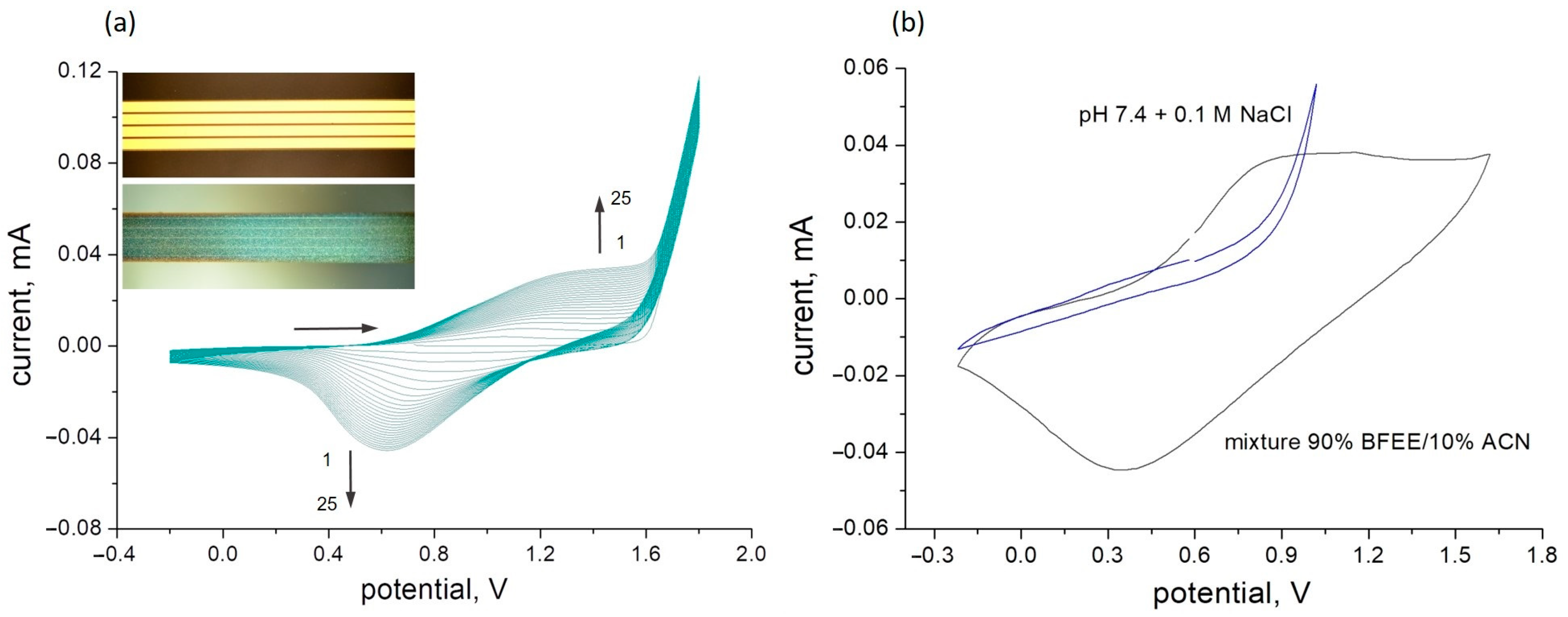 Polymers 16 01938 g001