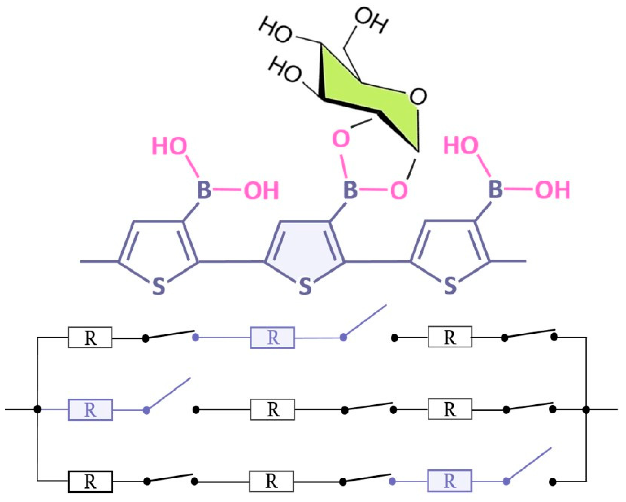 Polymers 16 01938 g004
