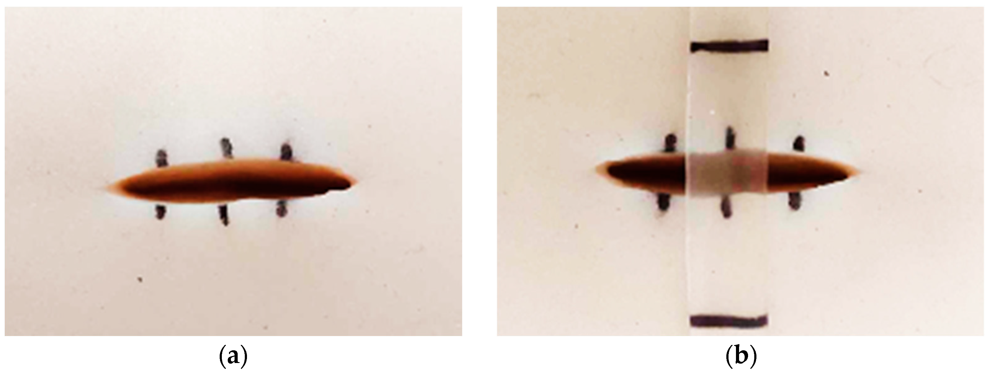 Polymers 16 01941 g008