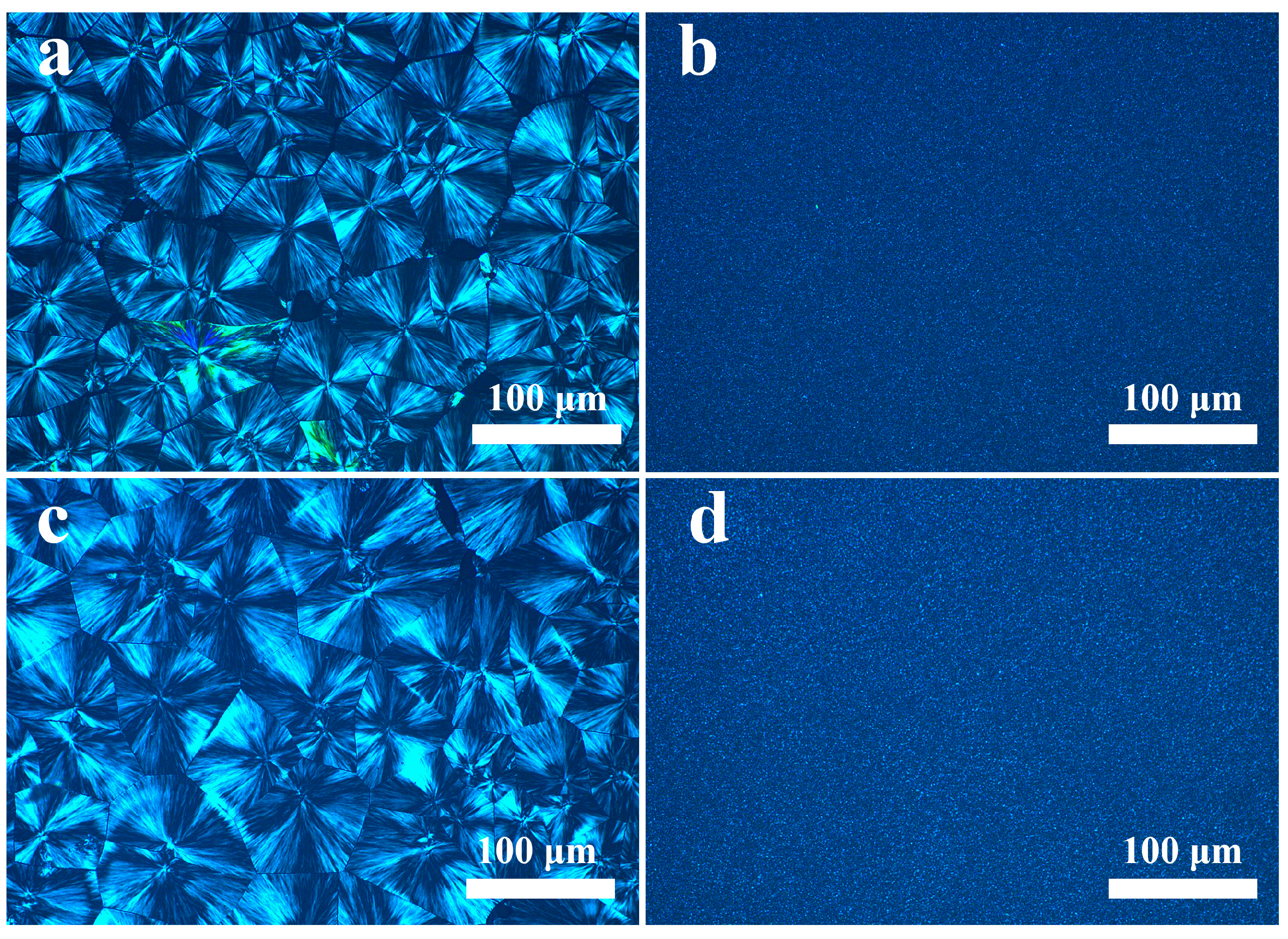 Polymers 16 01942 g009