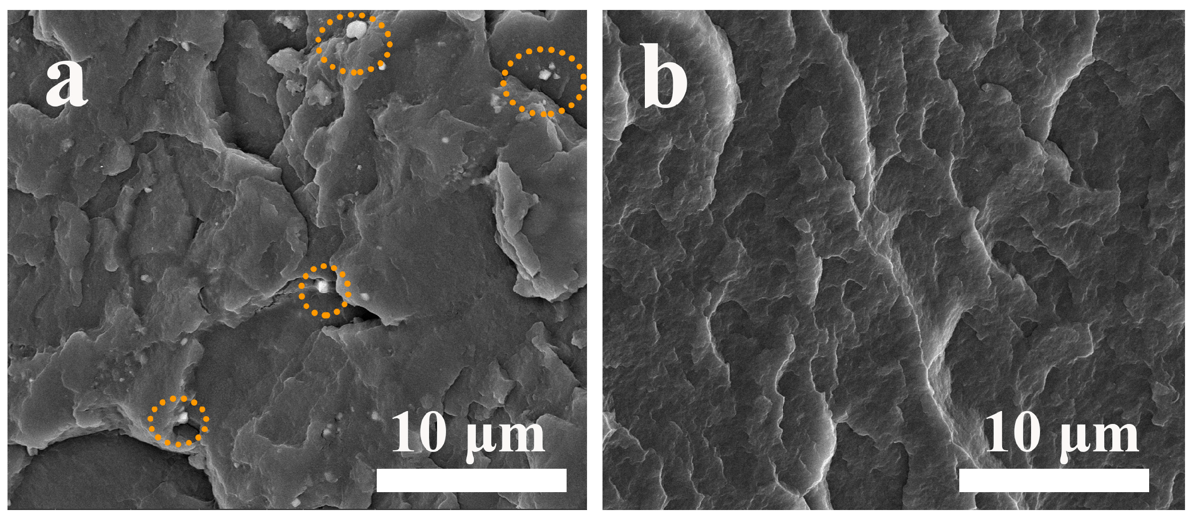 Polymers 16 01942 g013