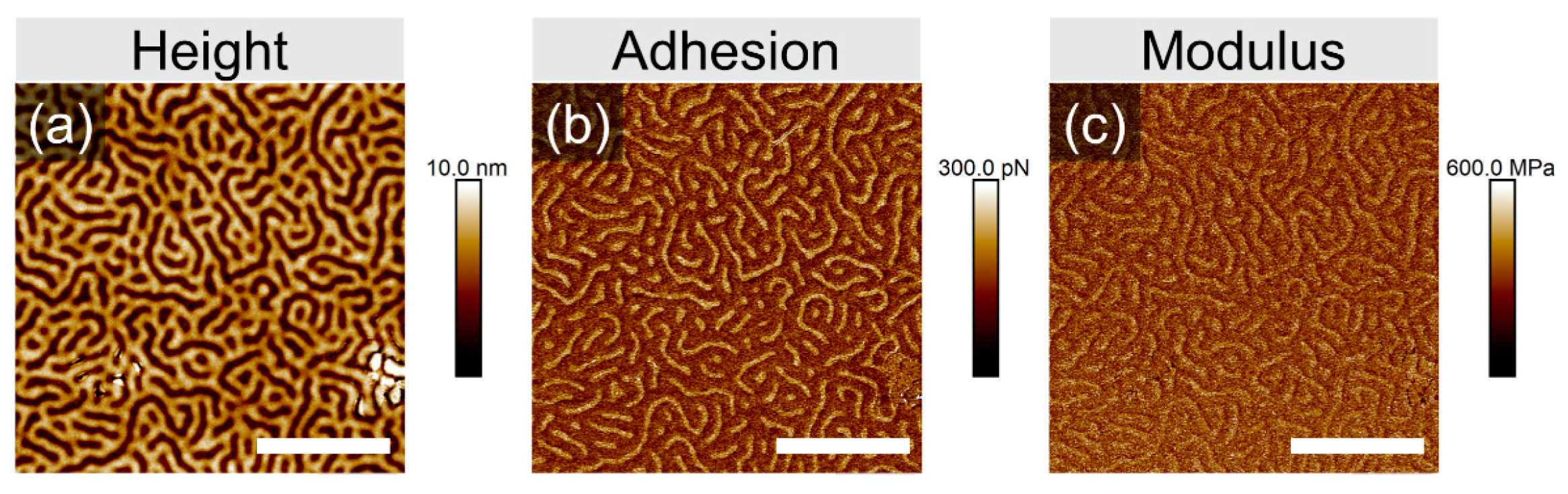 Polymers 16 01943 g003
