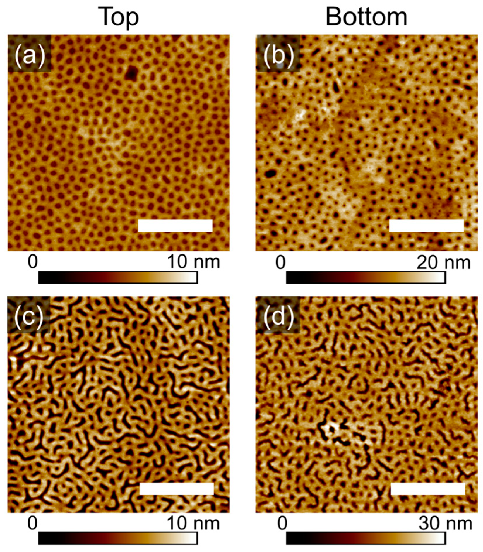 Polymers 16 01943 g005a