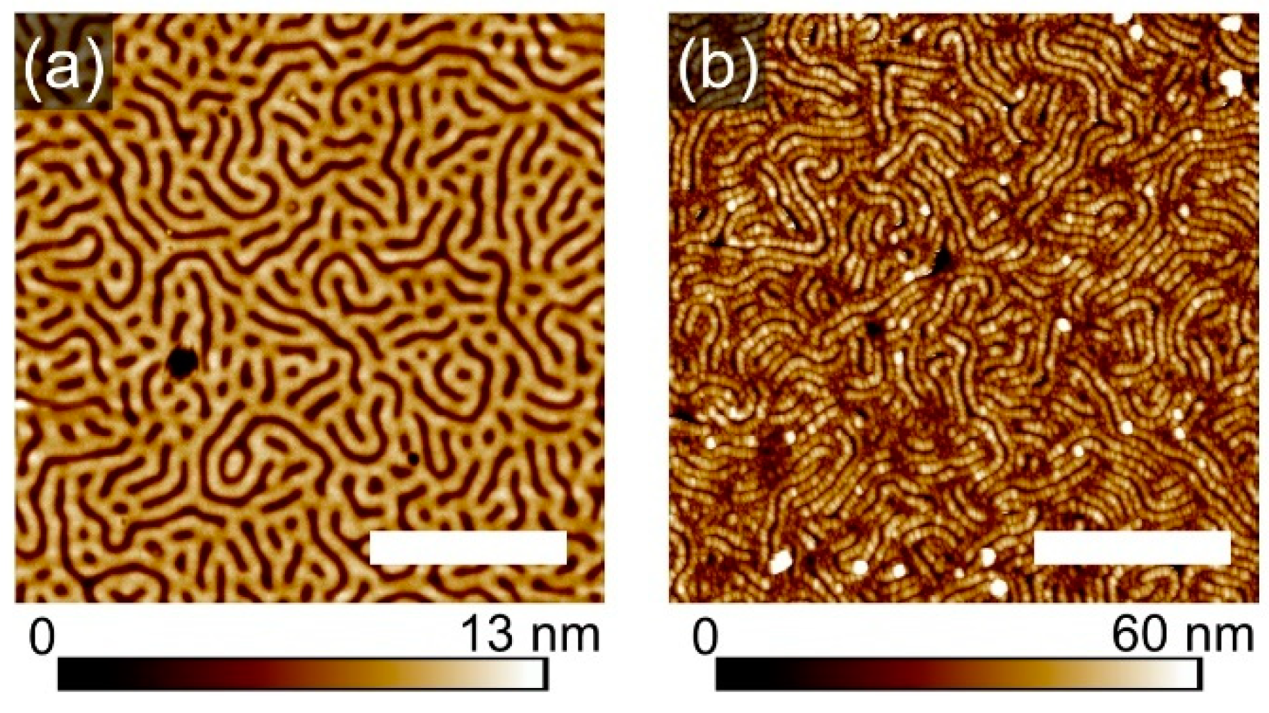 Polymers 16 01943 g007a