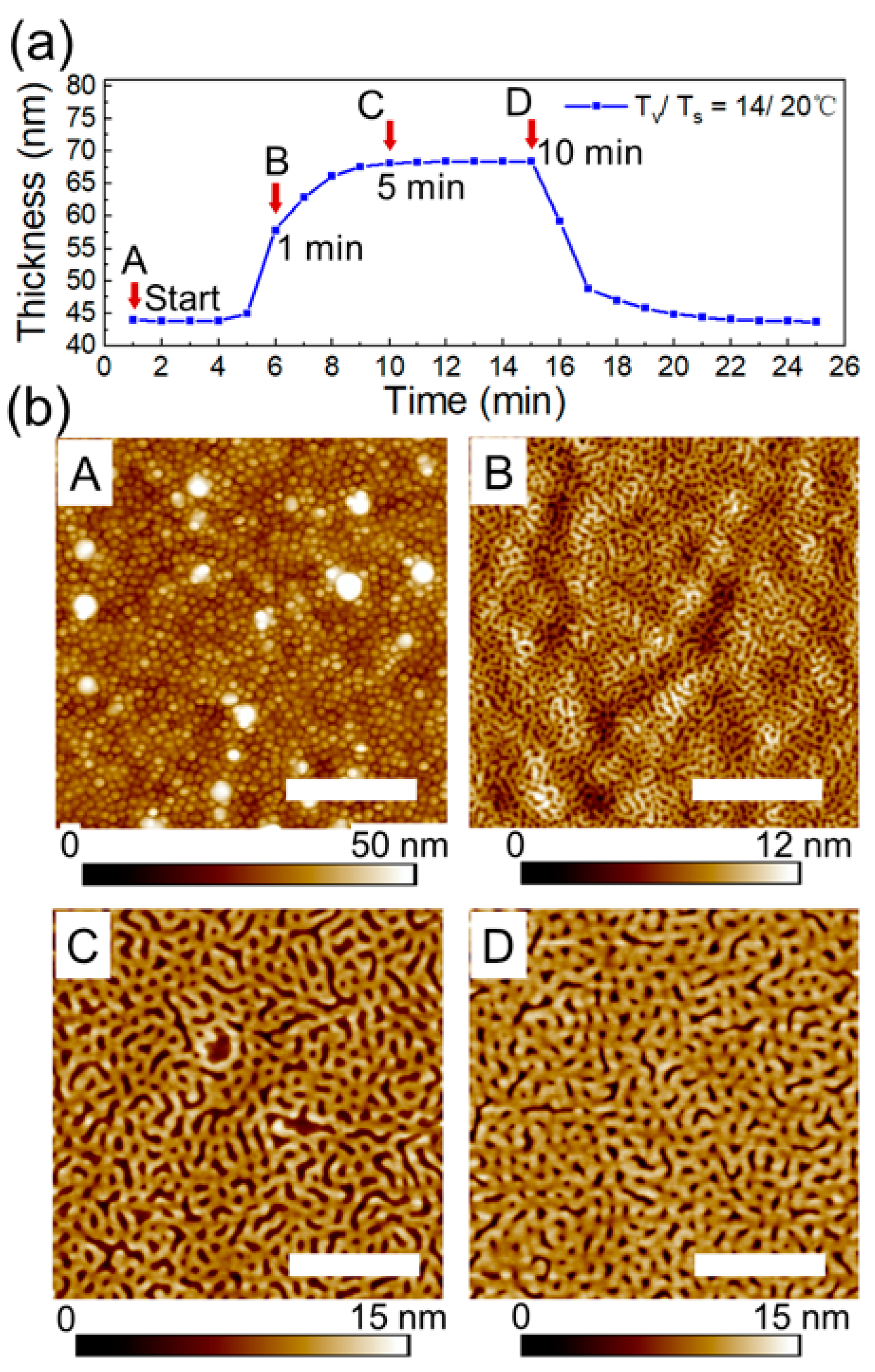 Polymers 16 01943 g008