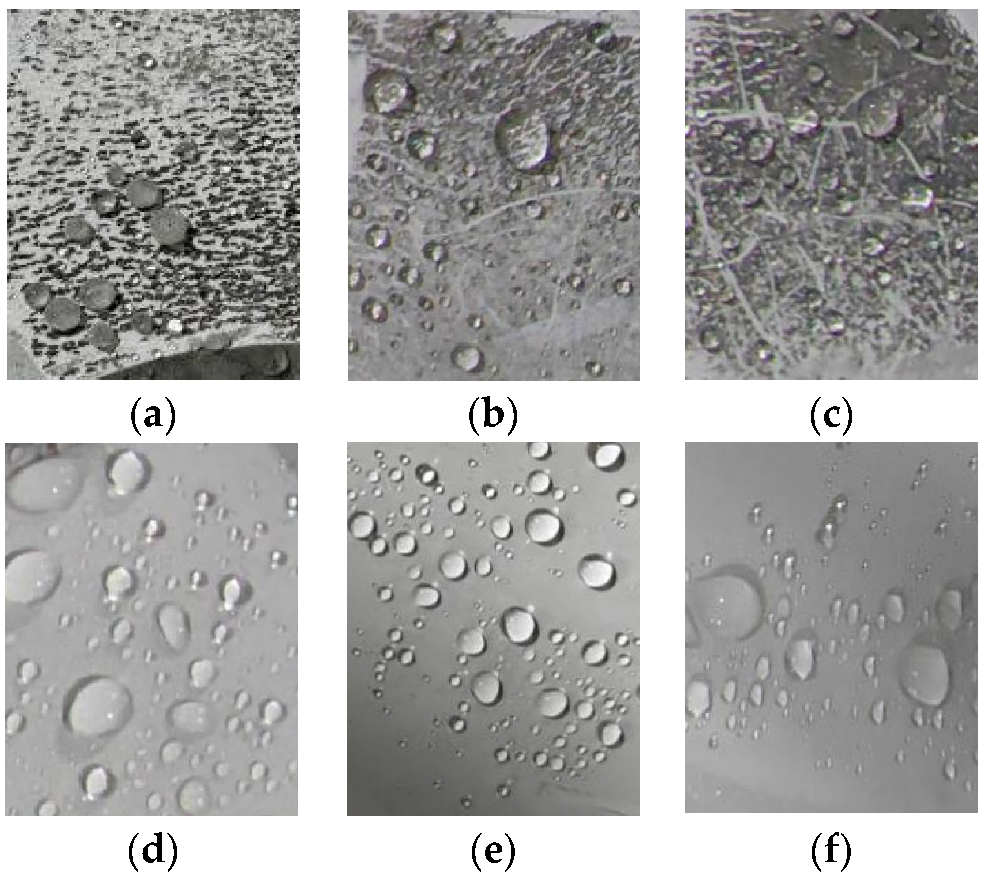 Polymers 16 01944 g003