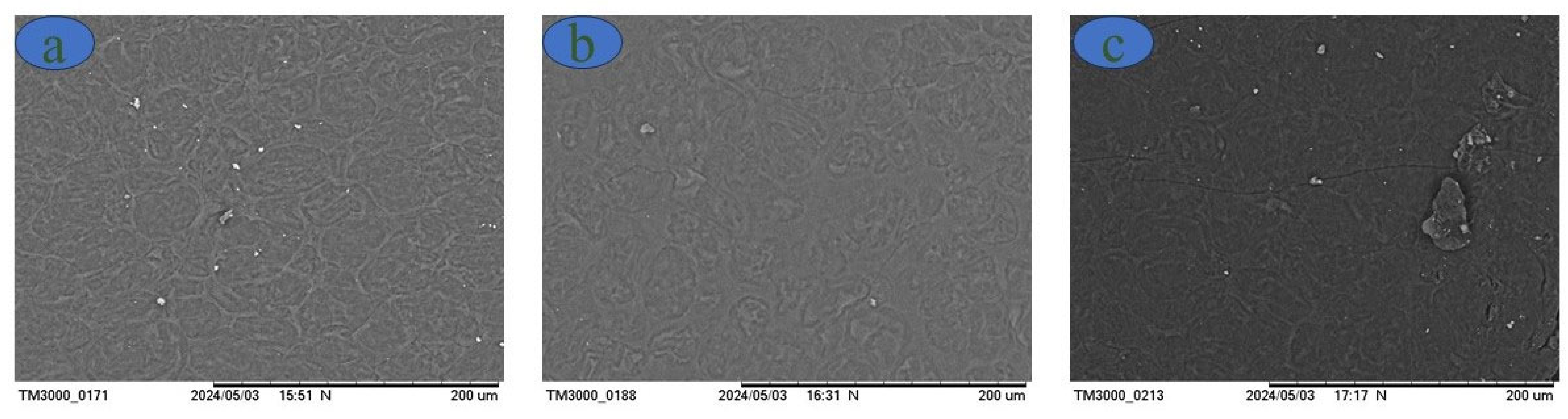 Polymers 16 01947 g004