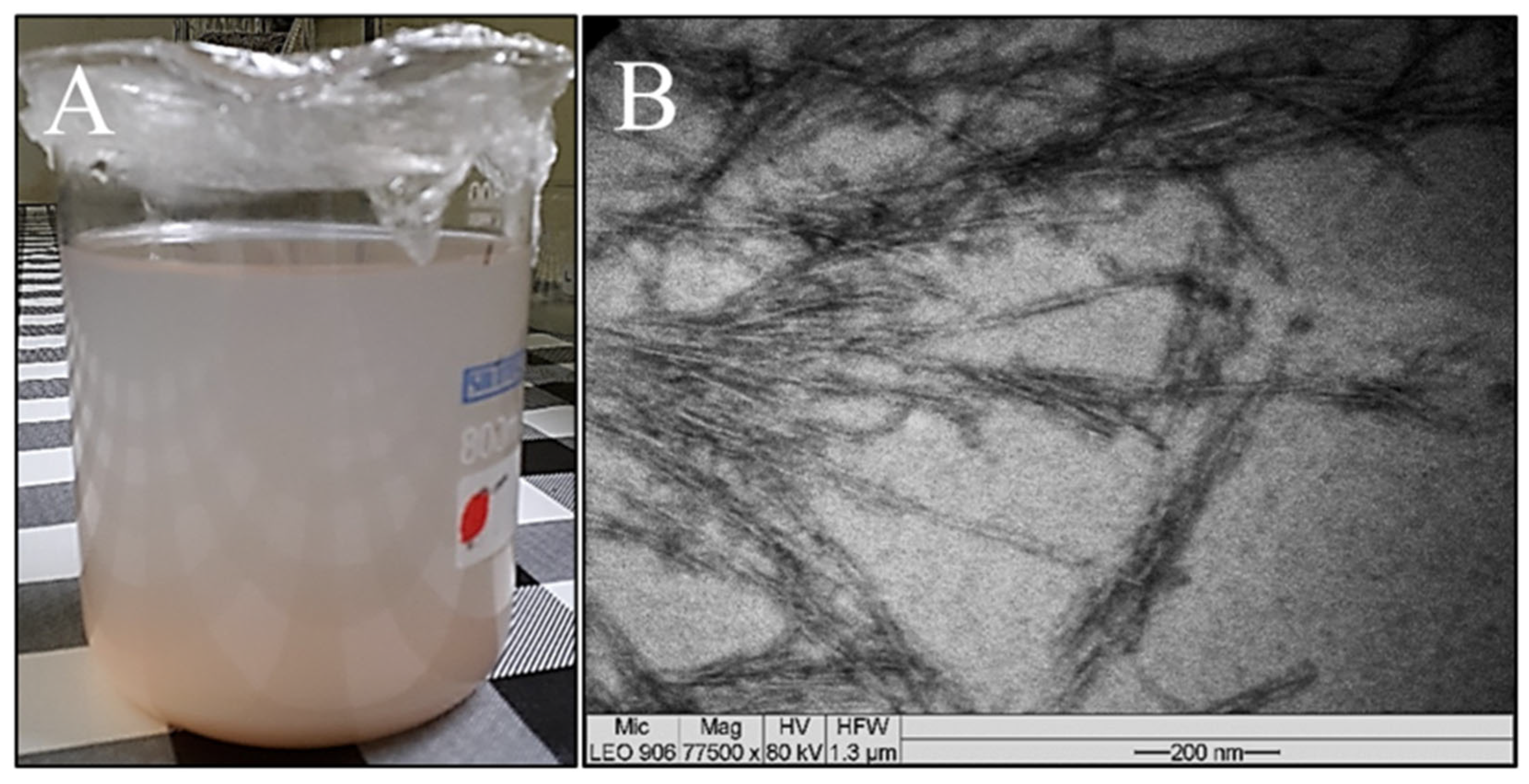 Polymers 16 01947 g005