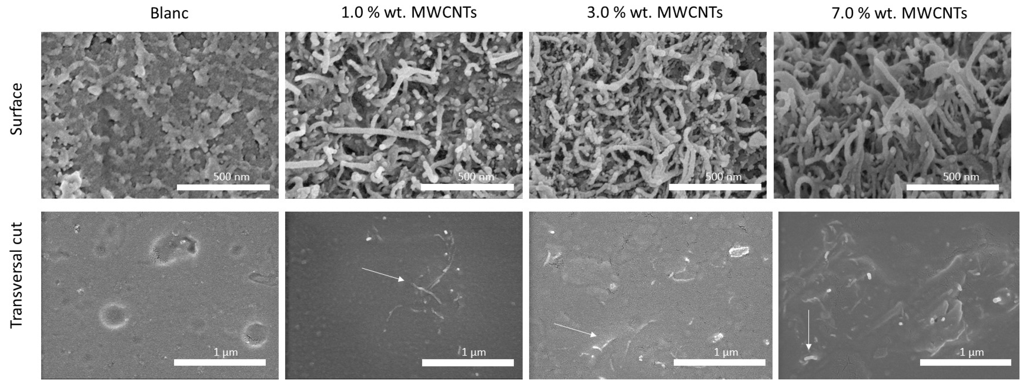 Polymers 16 01948 g001