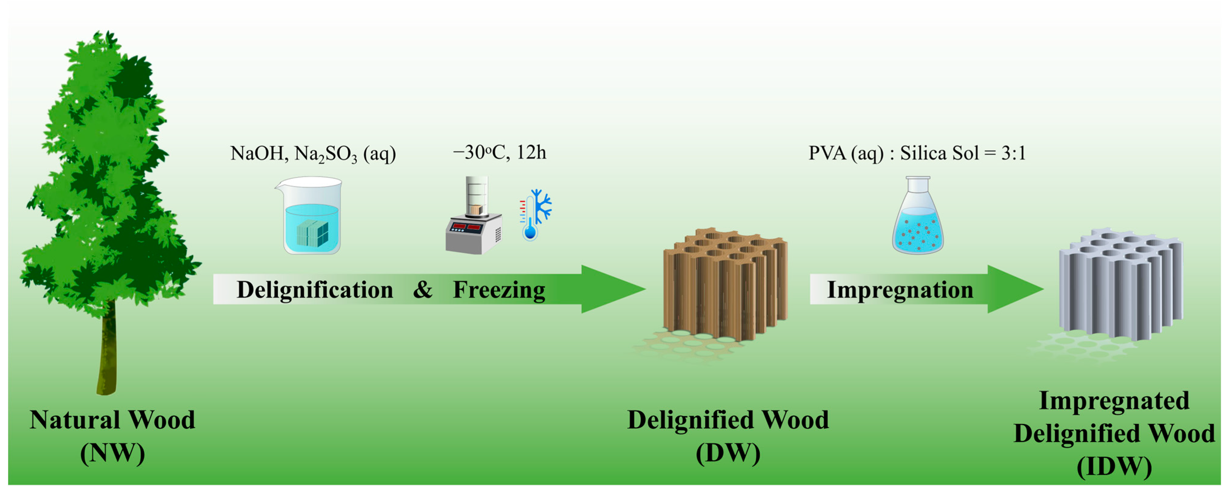 Polymers 16 01949 g001