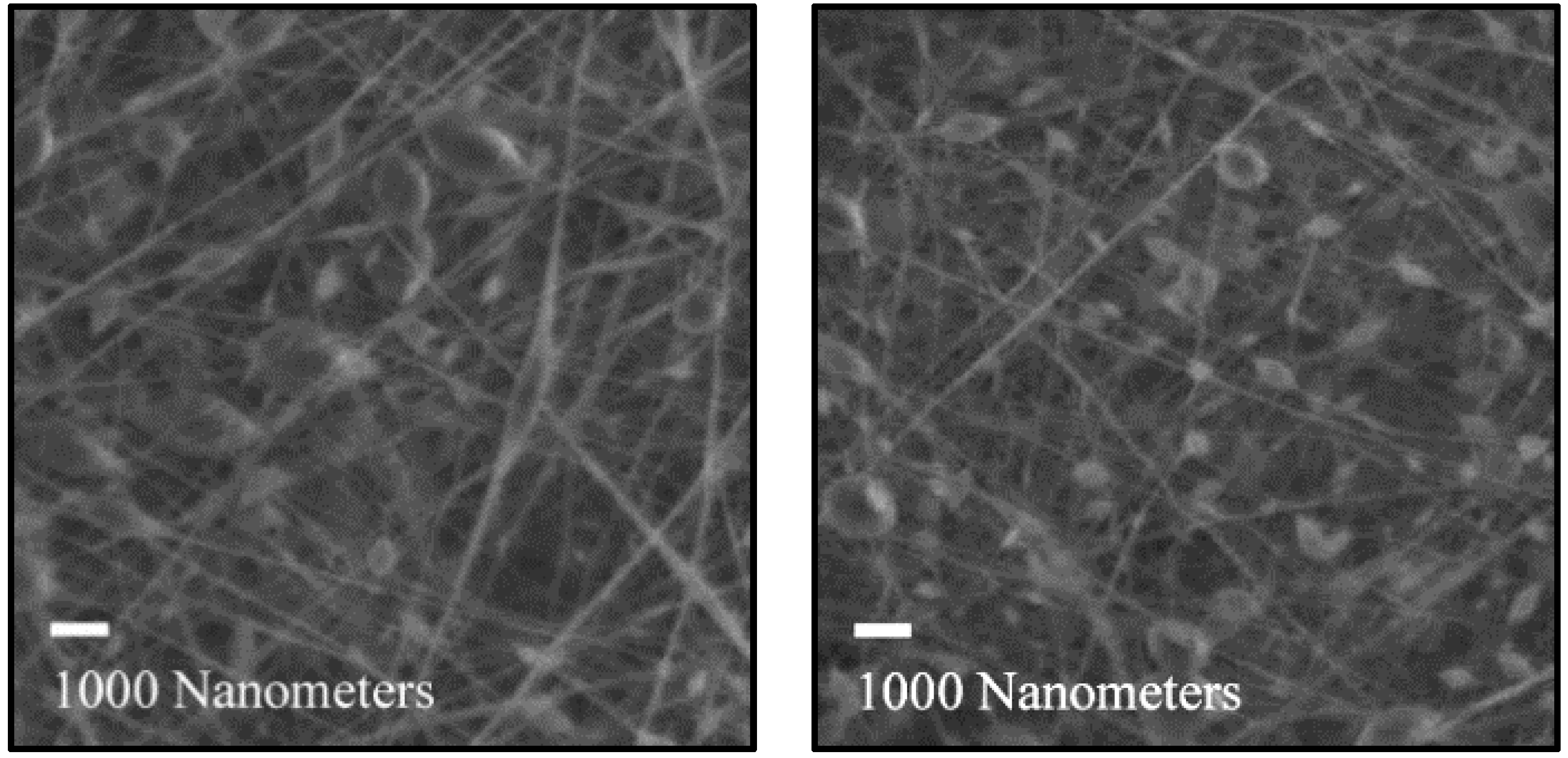 Polymers 16 01955 g005