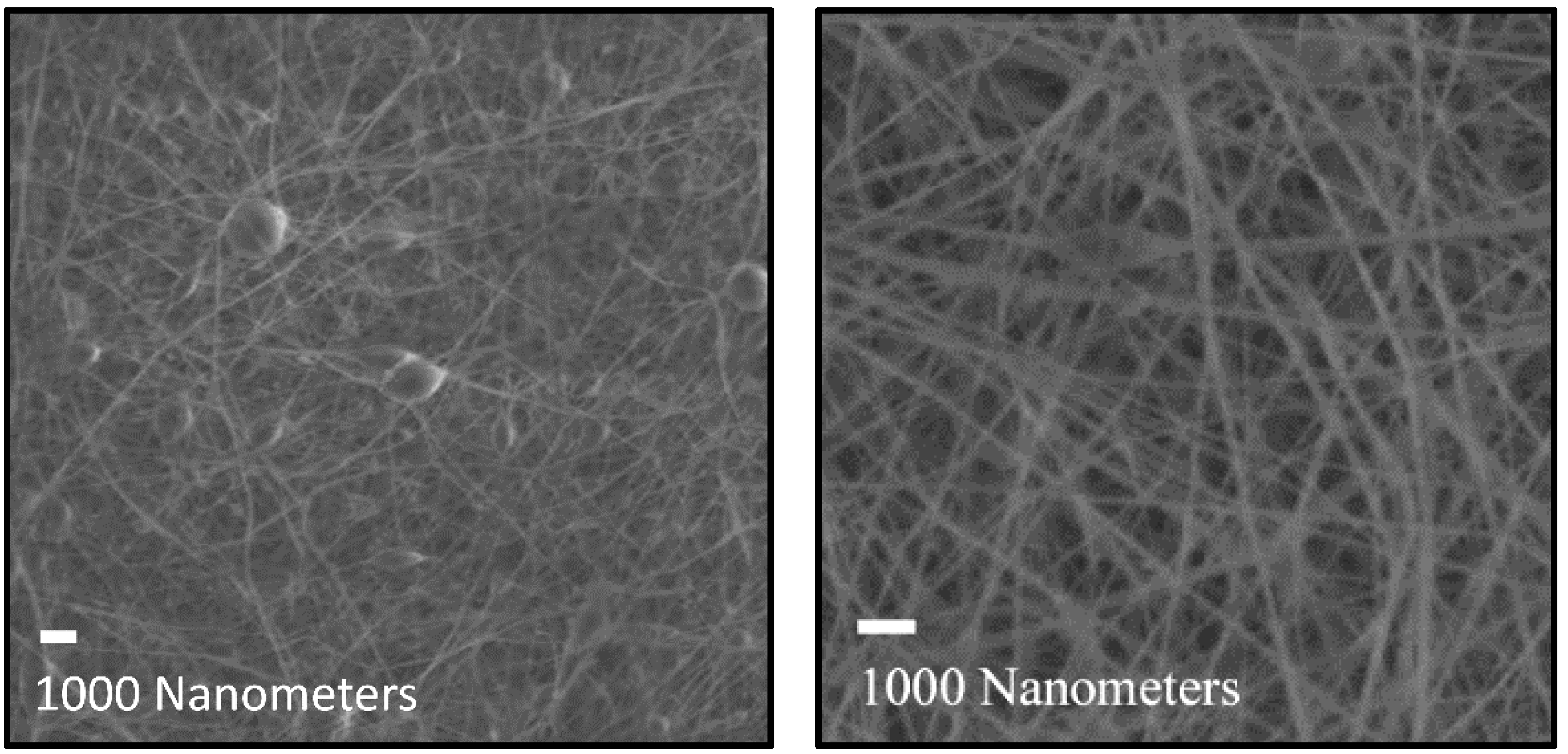 Polymers 16 01955 g006