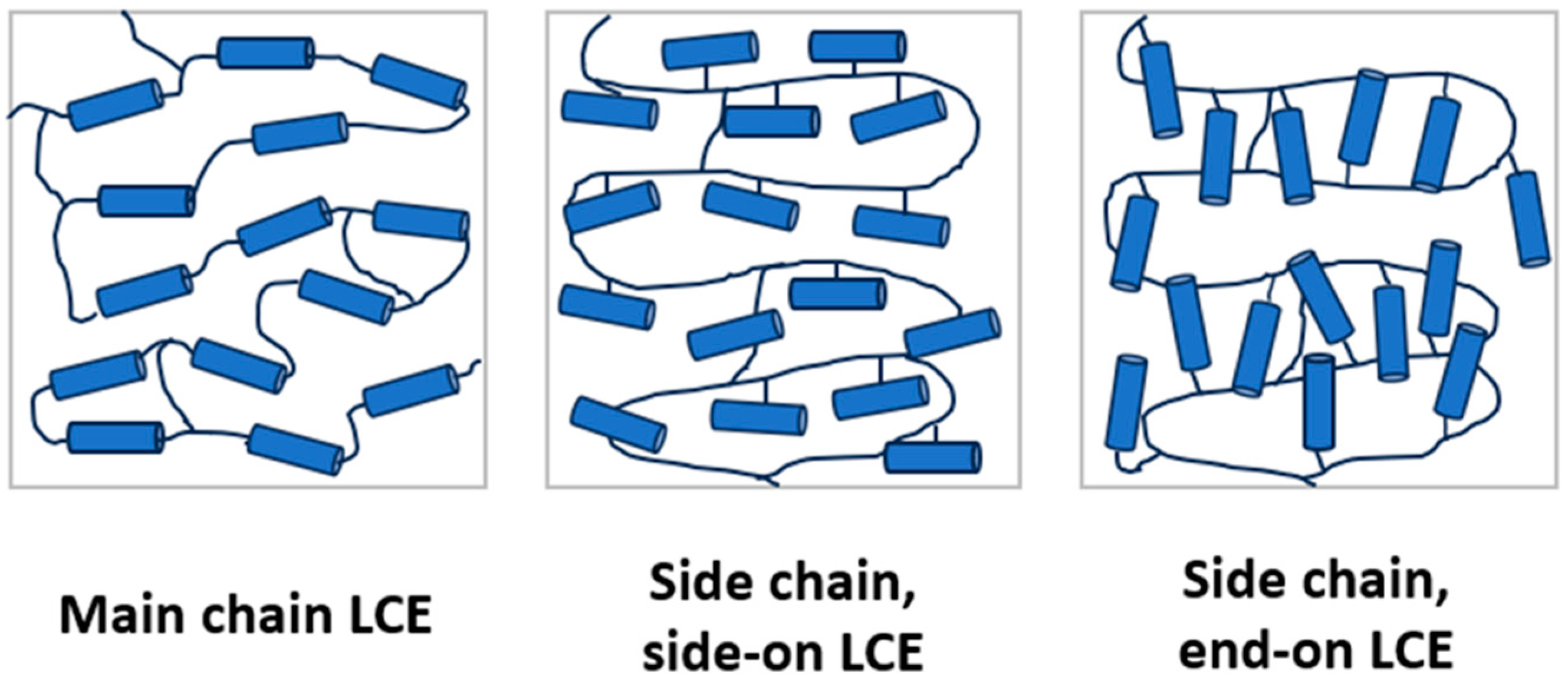 Polymers 16 01957 g001