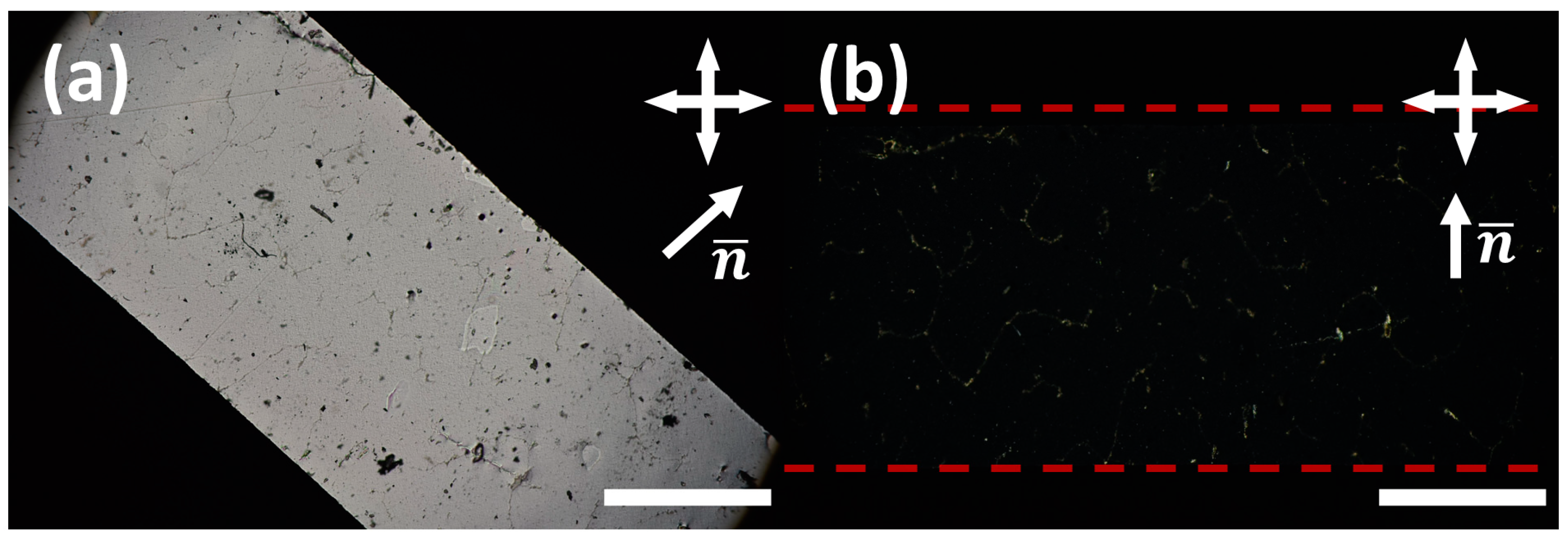 Polymers 16 01957 g004