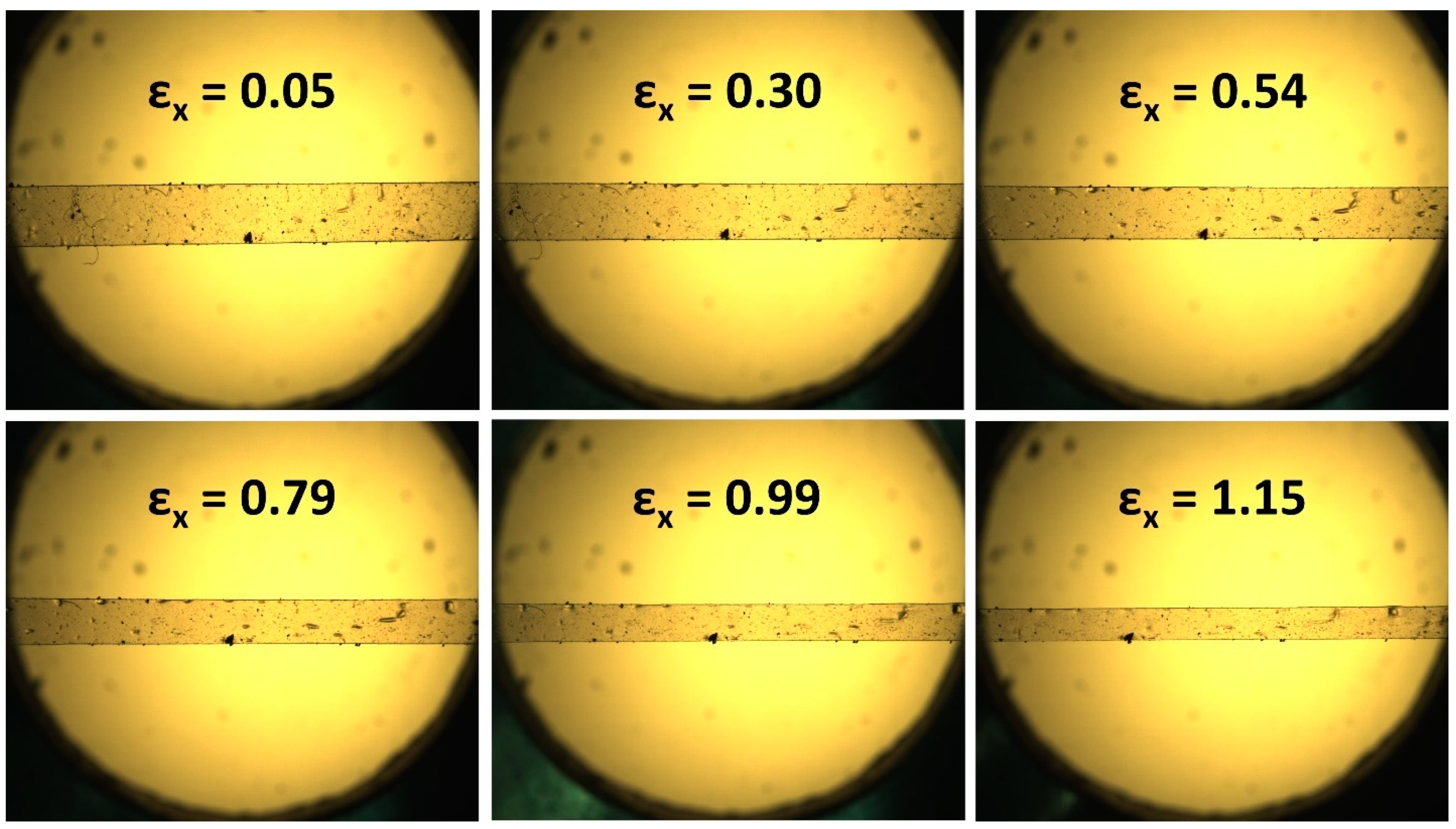 Polymers 16 01957 g006