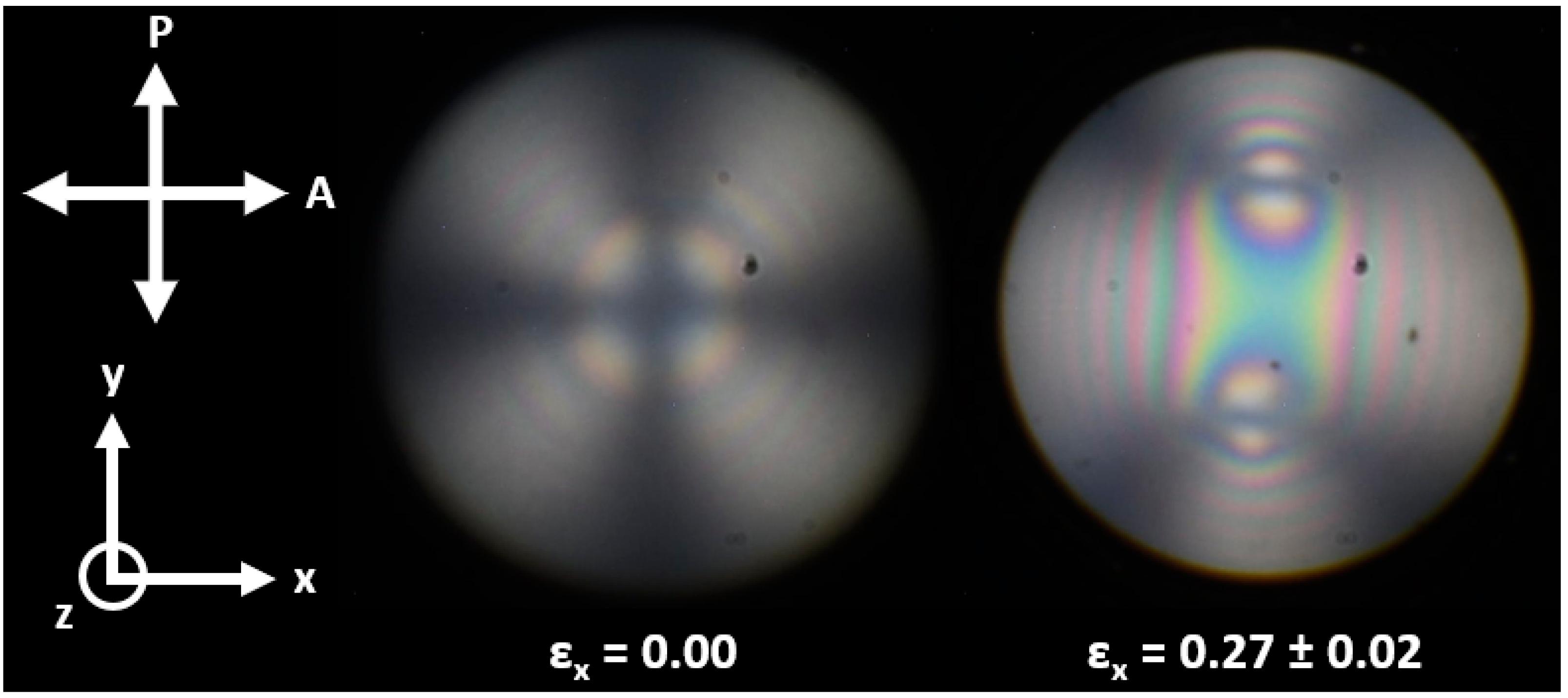 Polymers 16 01957 g008