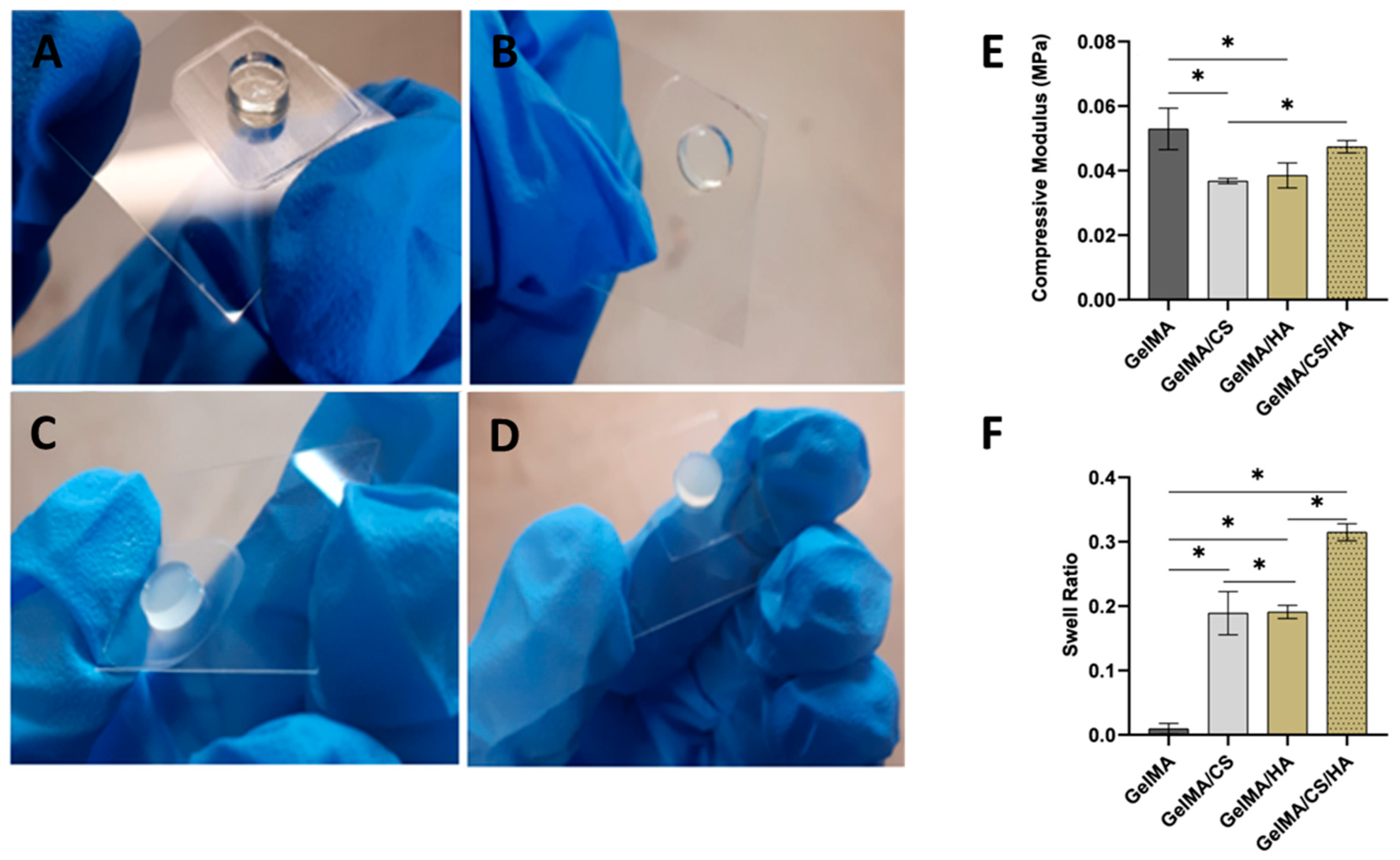Polymers 16 01958 g001