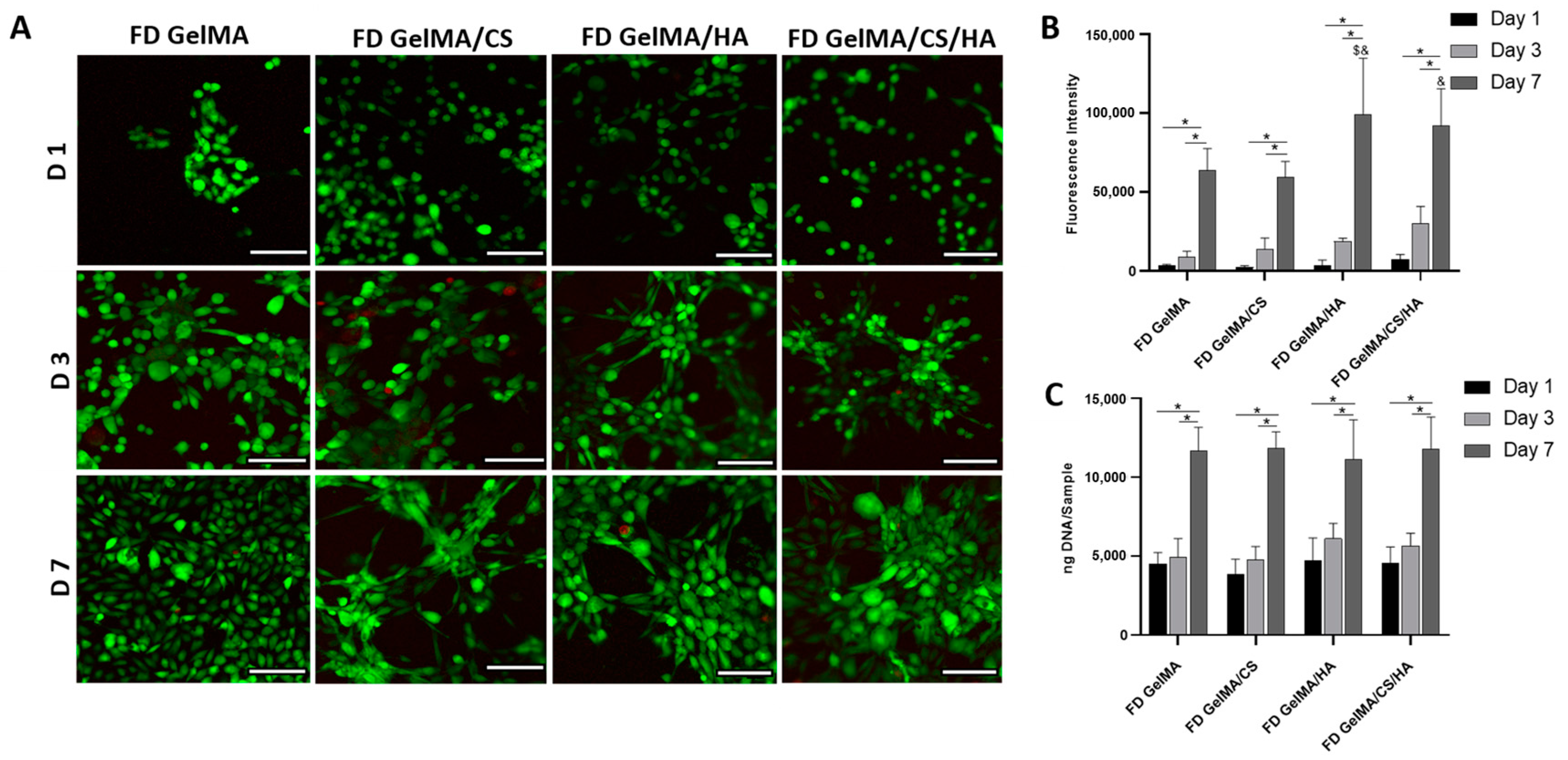 Polymers 16 01958 g006