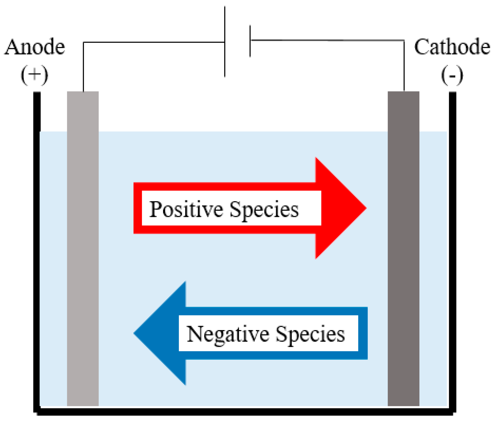 Polymers 16 01959 g002
