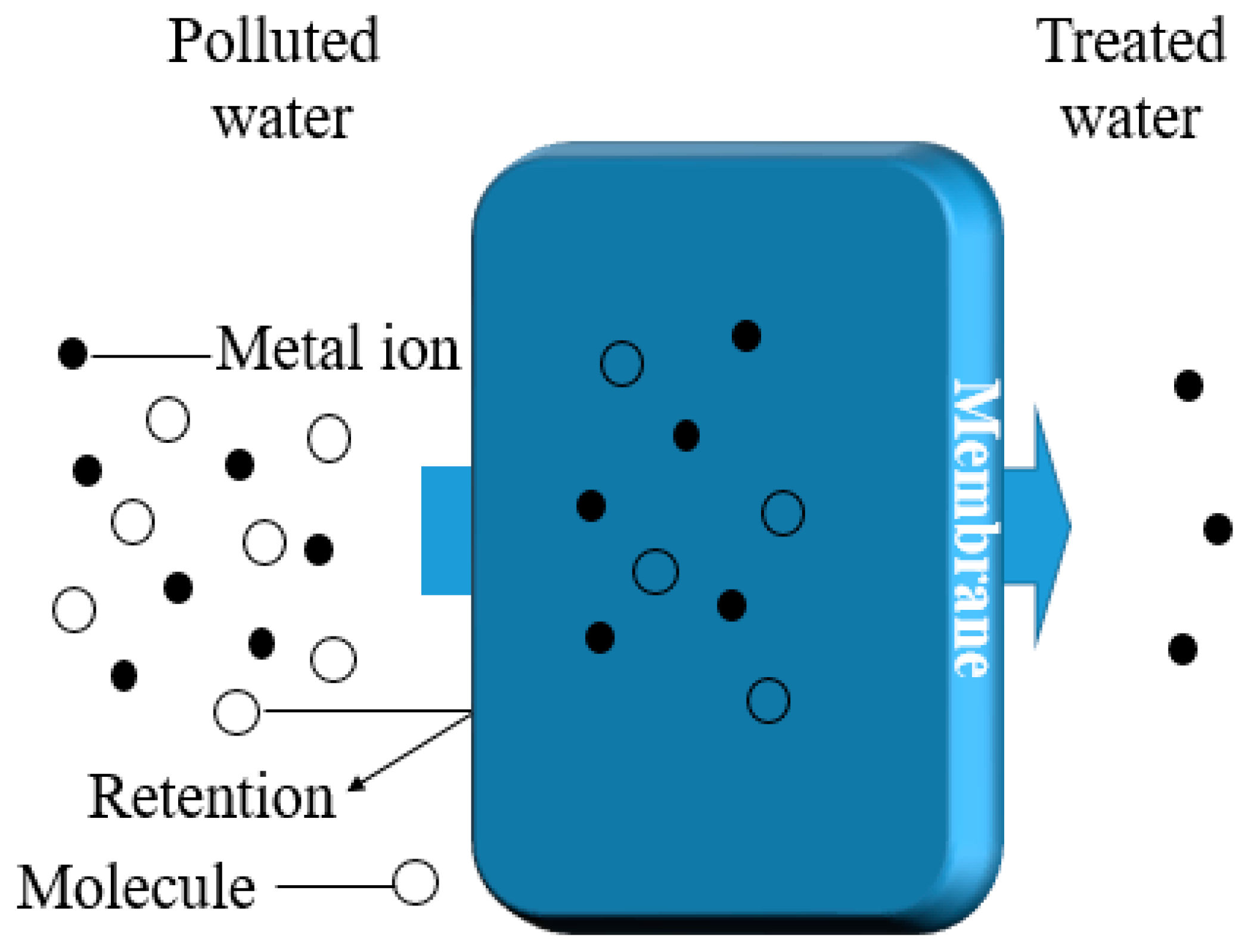 Polymers 16 01959 g003