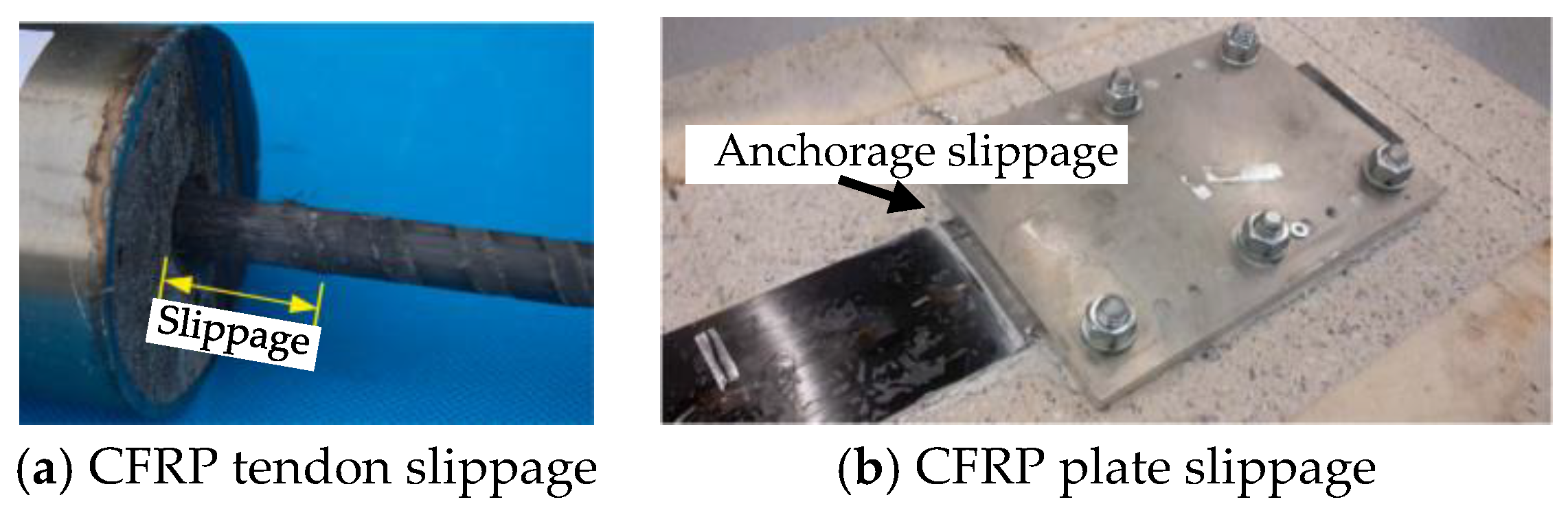 Polymers 16 01960 g007