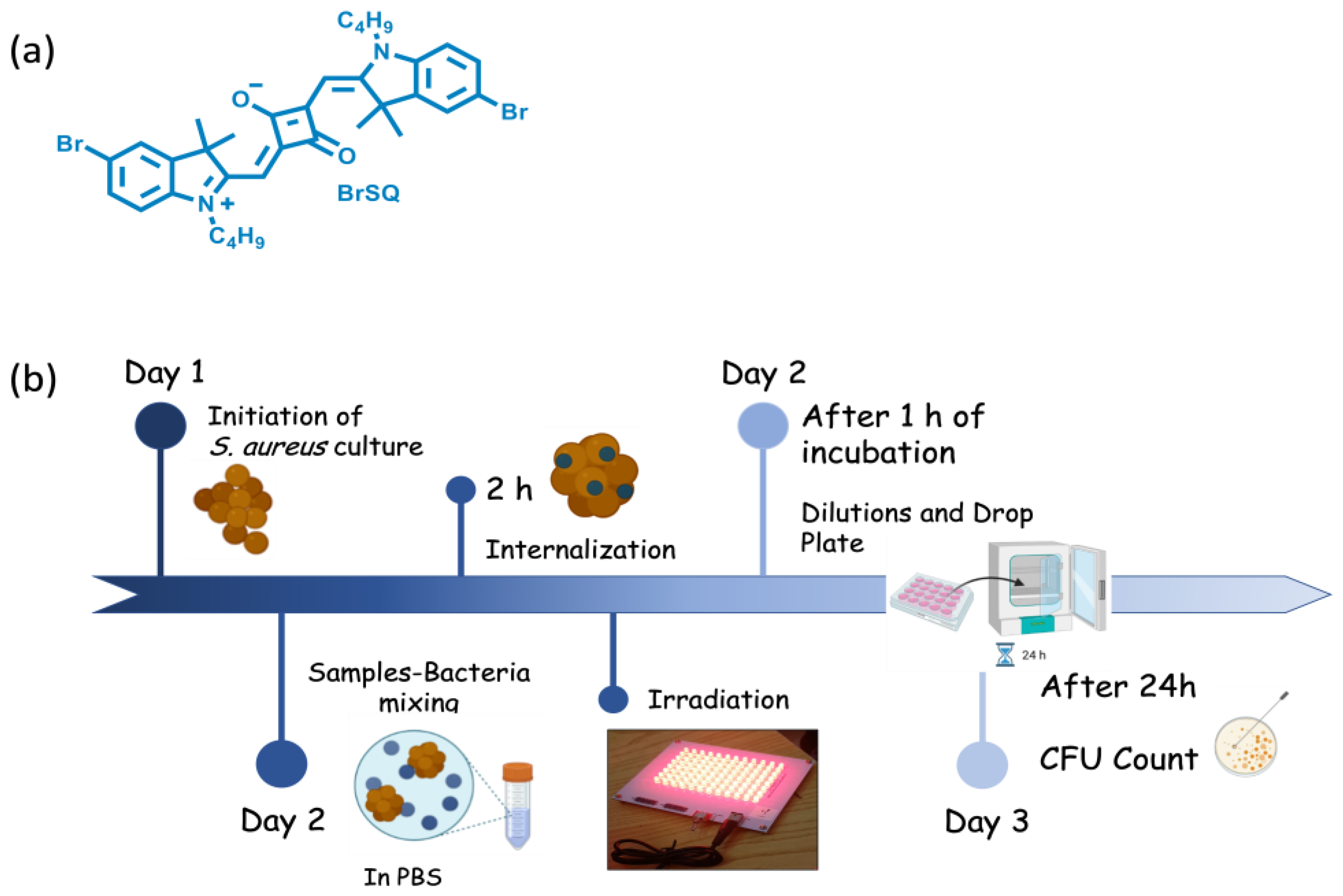 Polymers 16 01962 g001