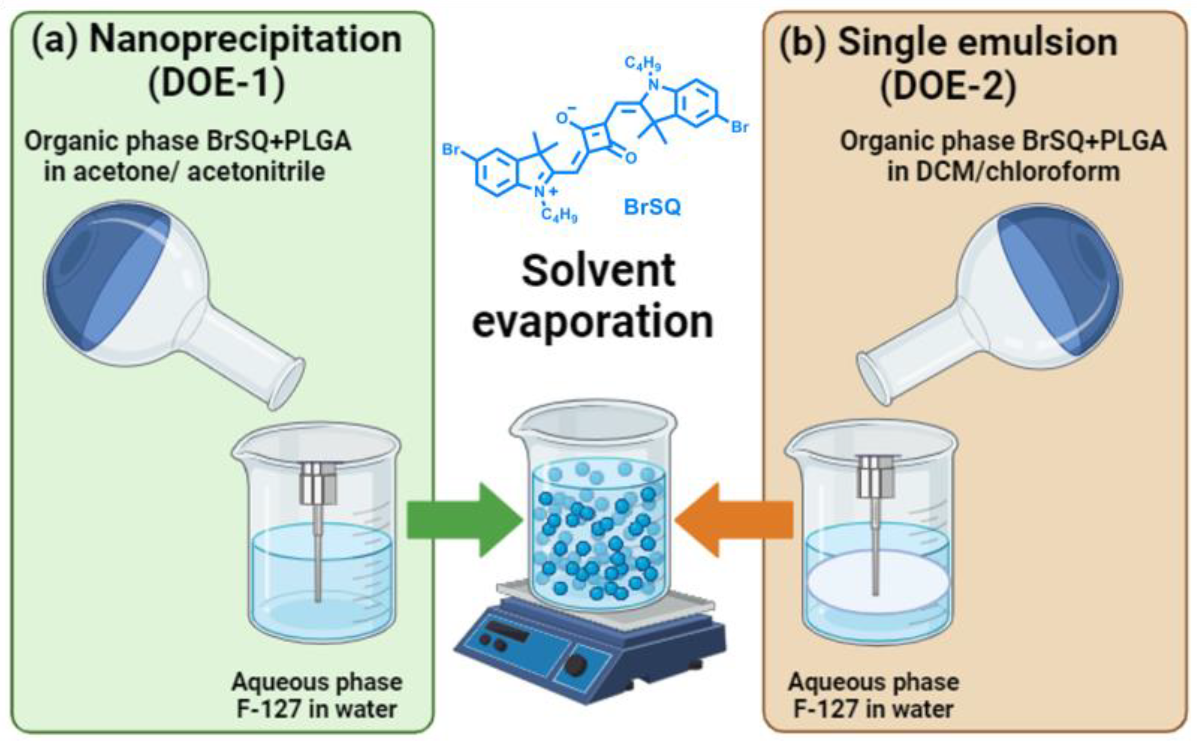Polymers 16 01962 g002