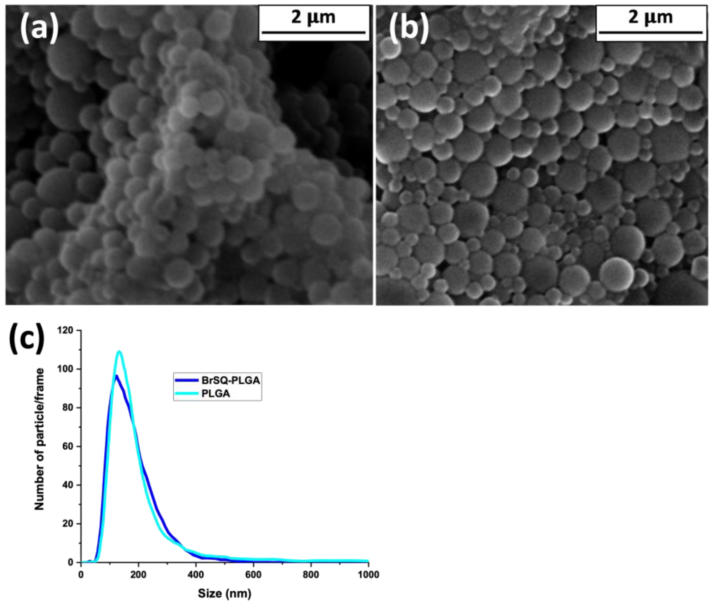 Polymers 16 01962 g005