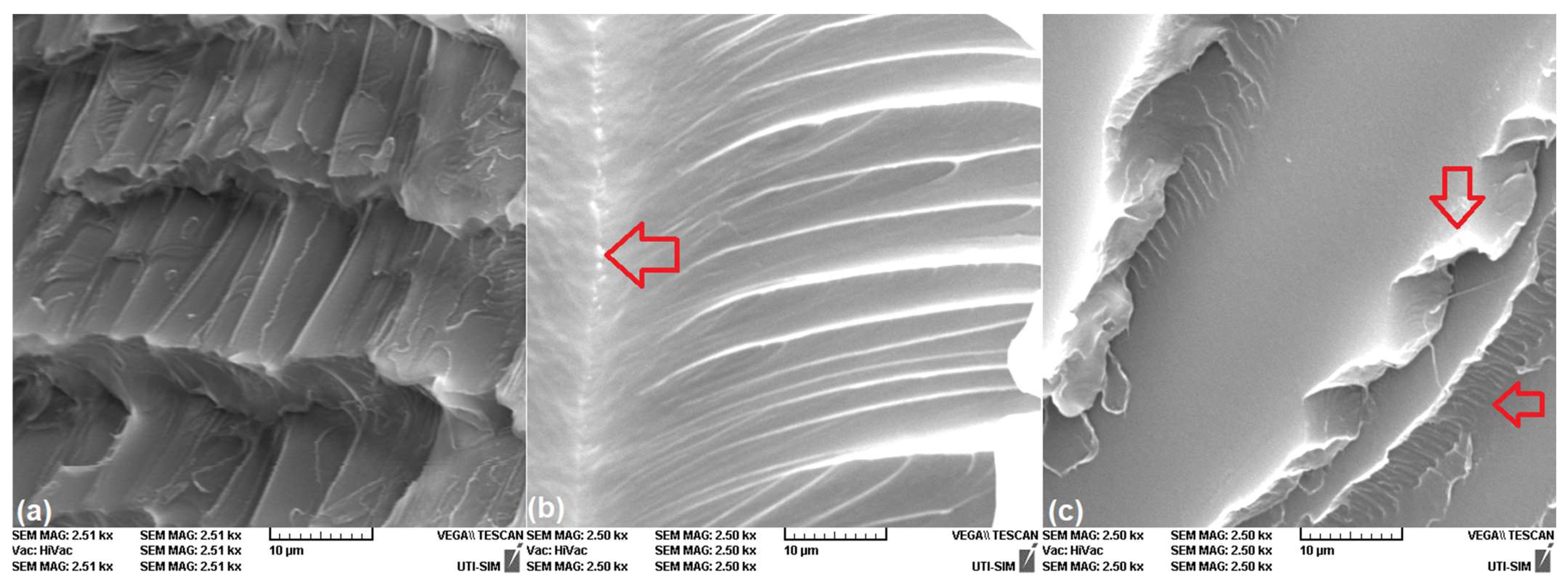 Polymers 16 01965 g007