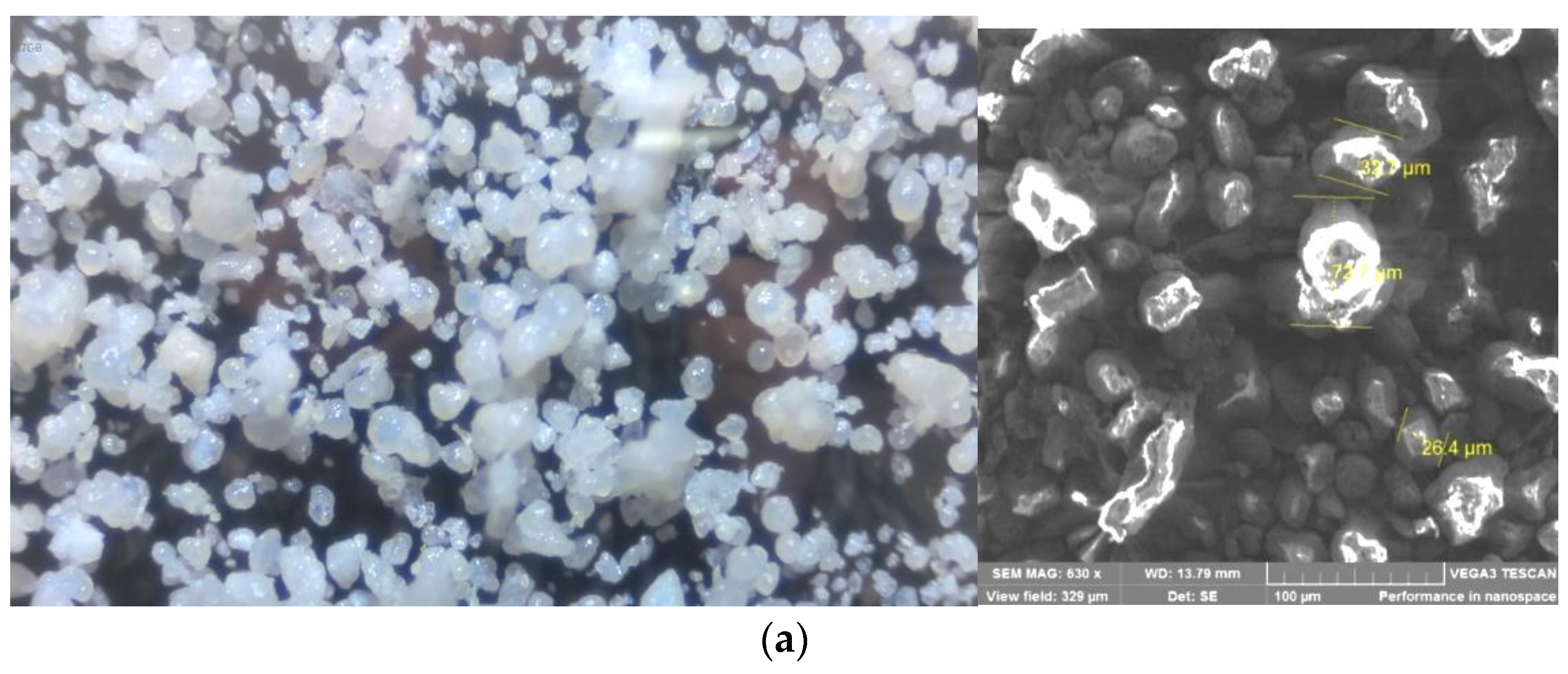 Polymers 16 01973 g005a