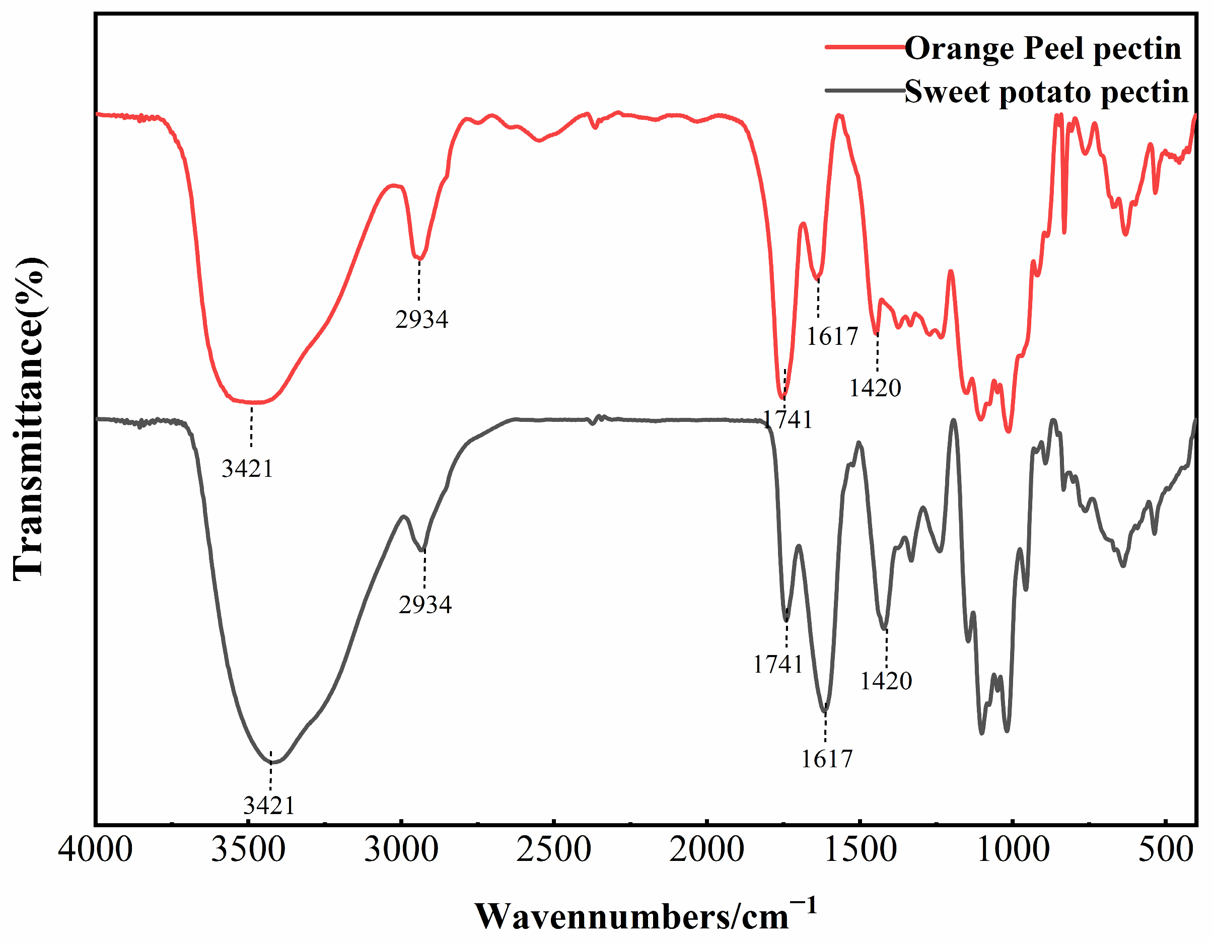 Polymers 16 01977 g001
