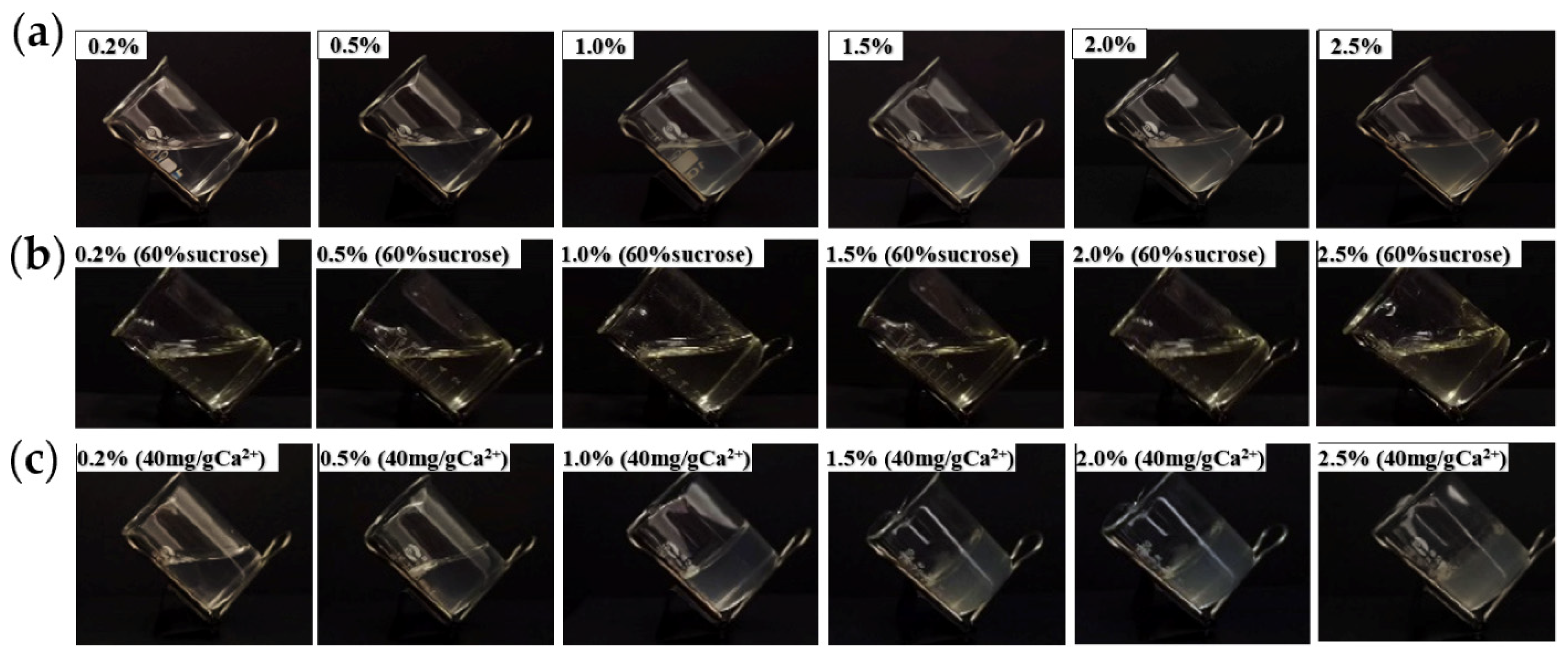 Polymers 16 01977 g004