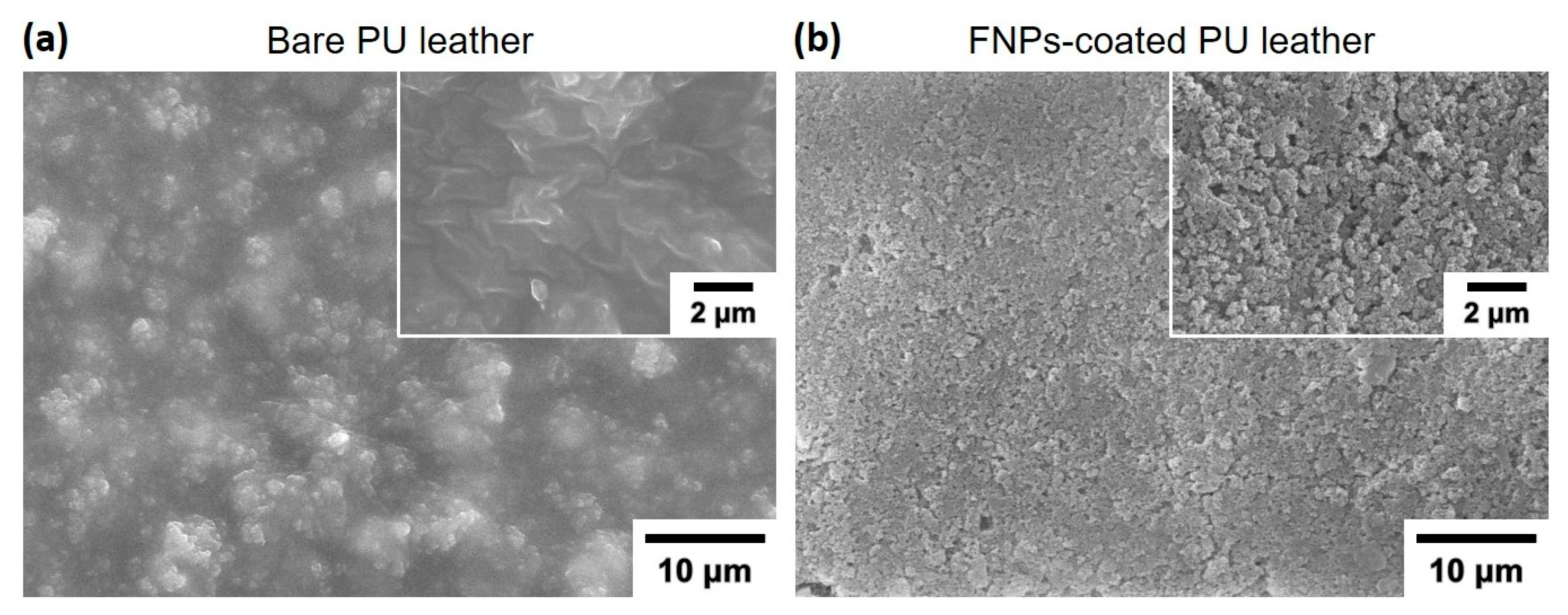 Polymers 16 01983 g002