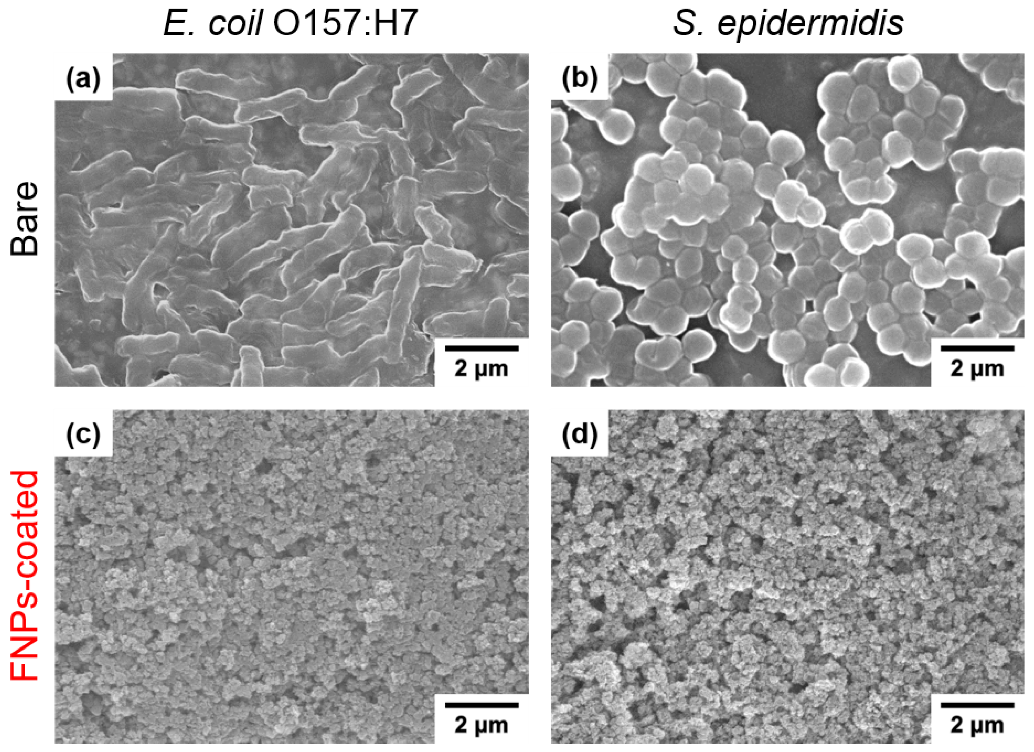 Polymers 16 01983 g005