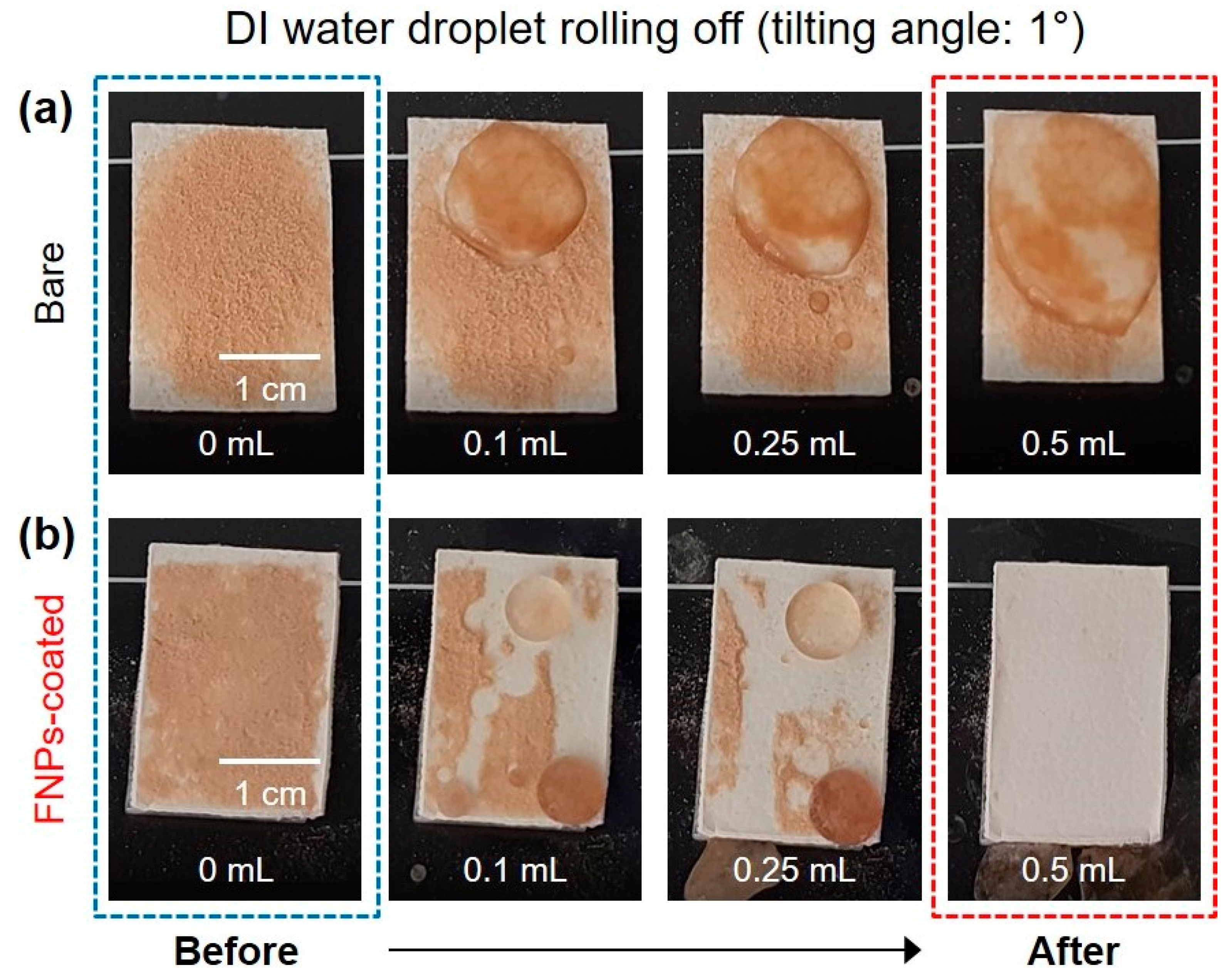 Polymers 16 01983 g006