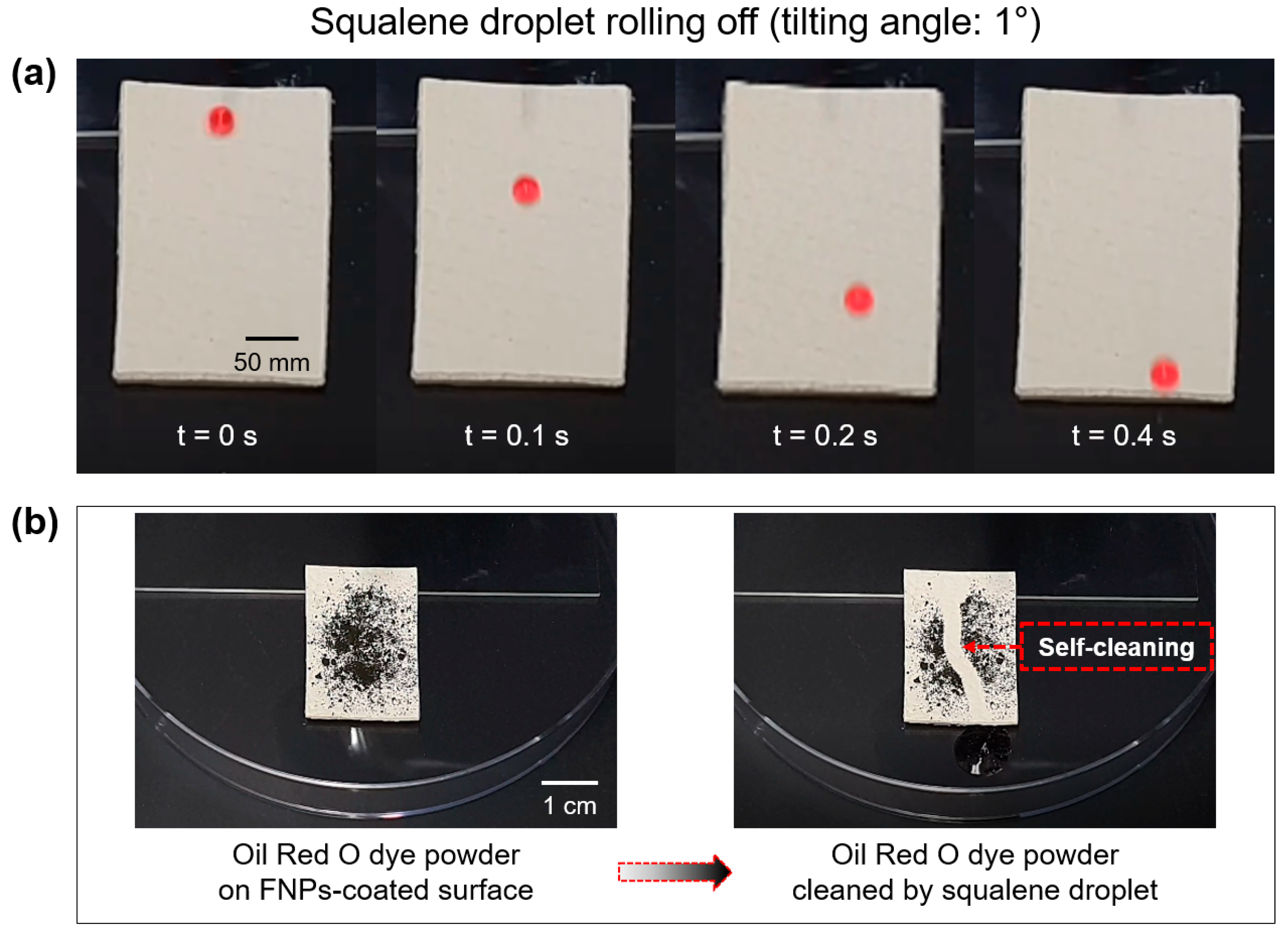 Polymers 16 01983 g007