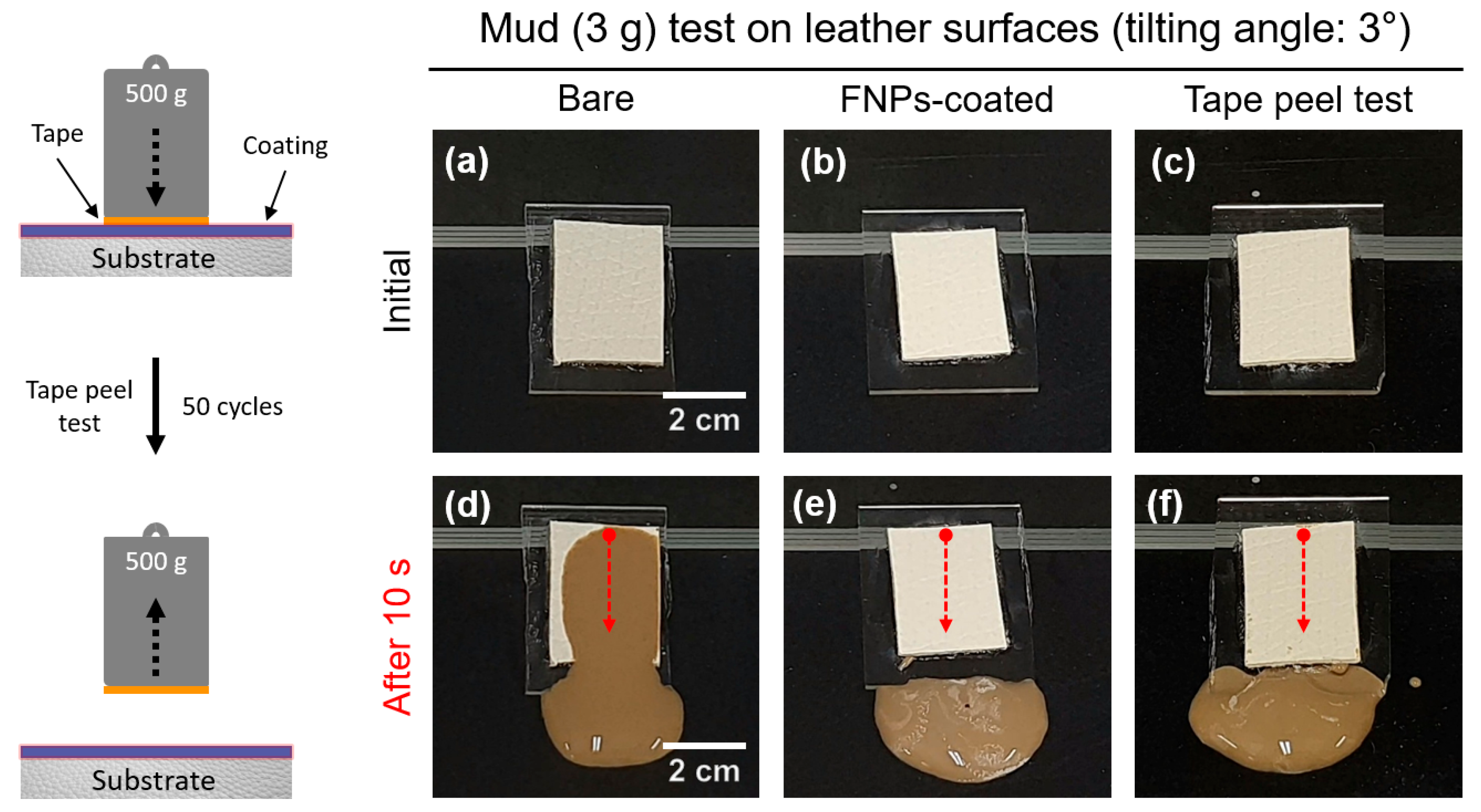 Polymers 16 01983 g009
