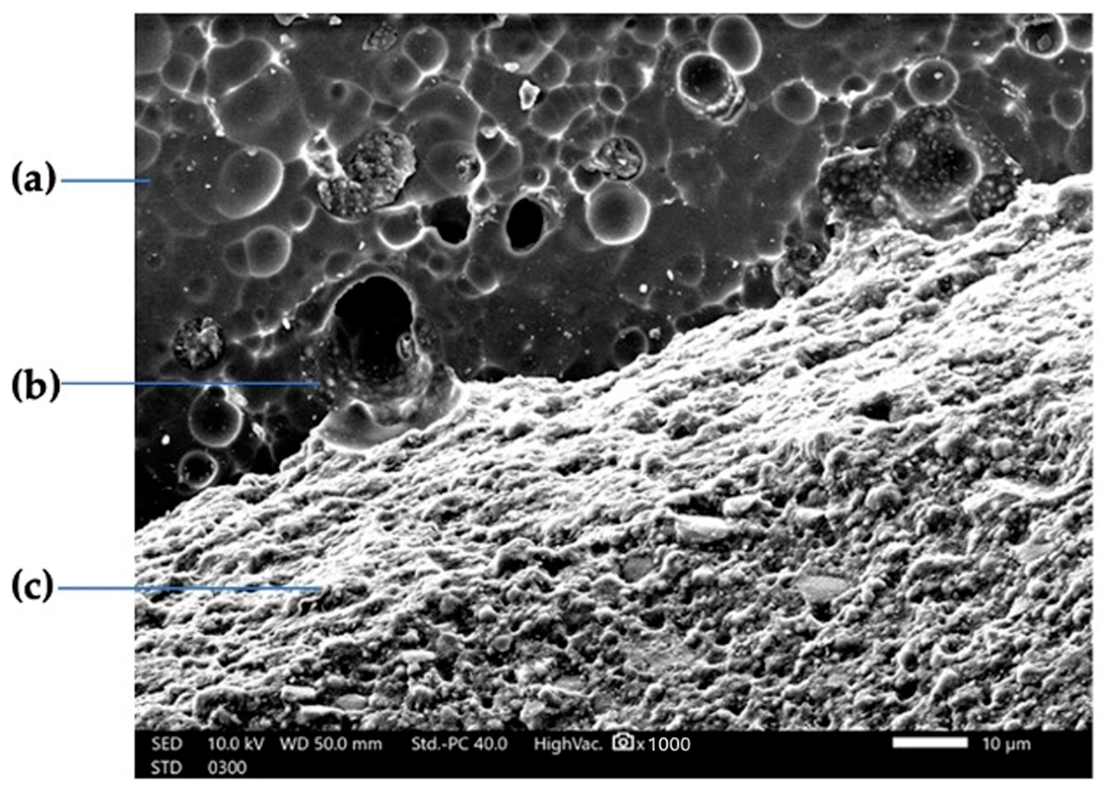 Polymers 16 01988 g002 Polymers 16 01988 g002