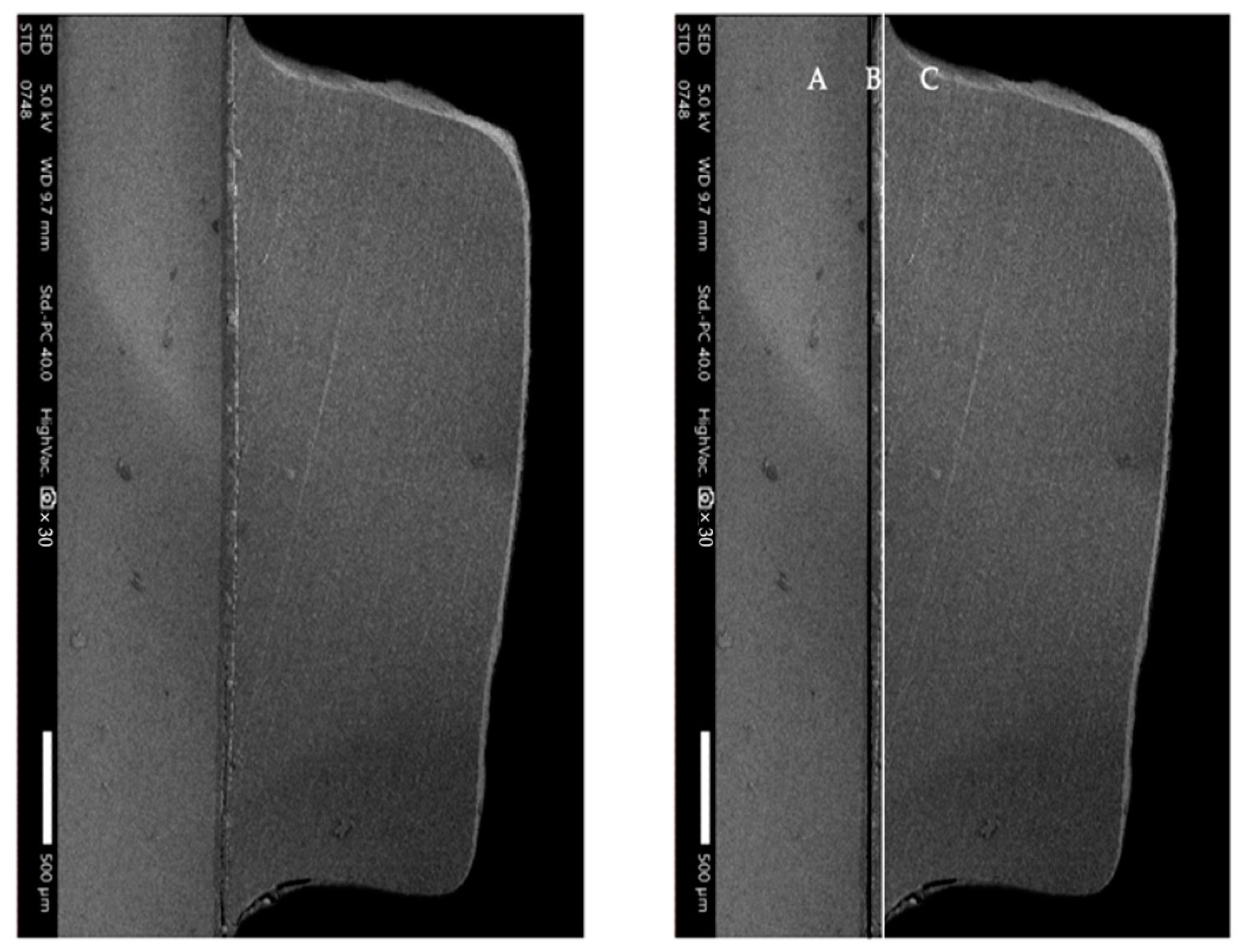 Polymers 16 01988 g004 Polymers 16 01988 g004